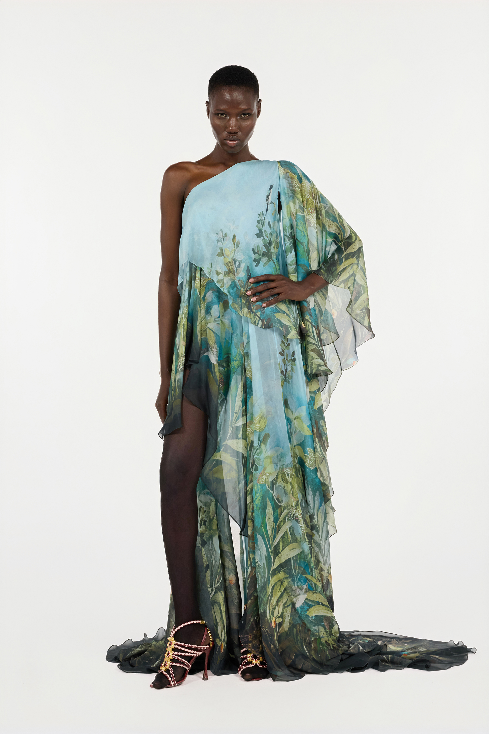Roberto Cavalli Extra-long Silk Dress With Nature Print In Multi
