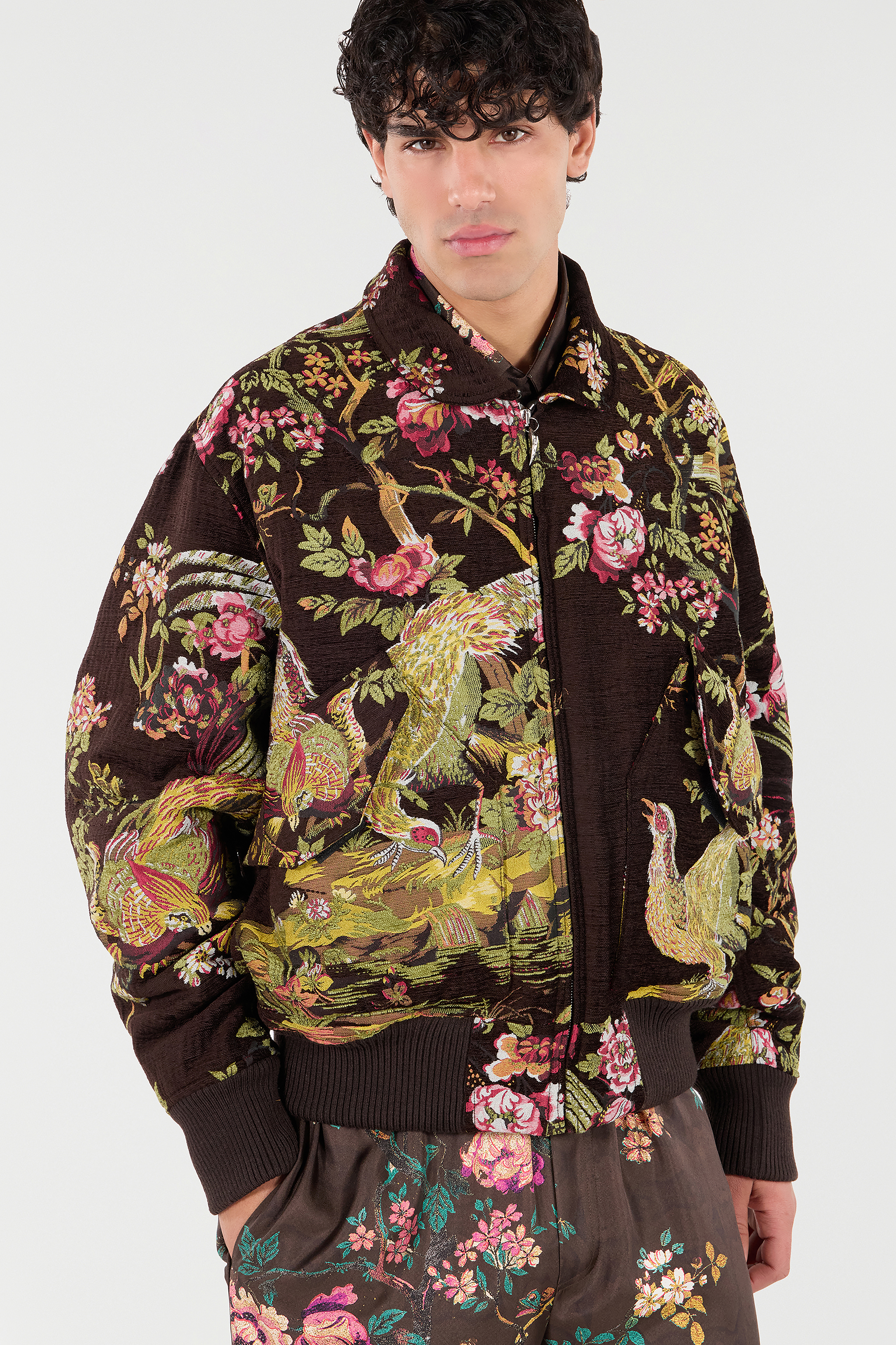 Roberto Cavalli Bomber Jacket With Natural Landscape In Brown