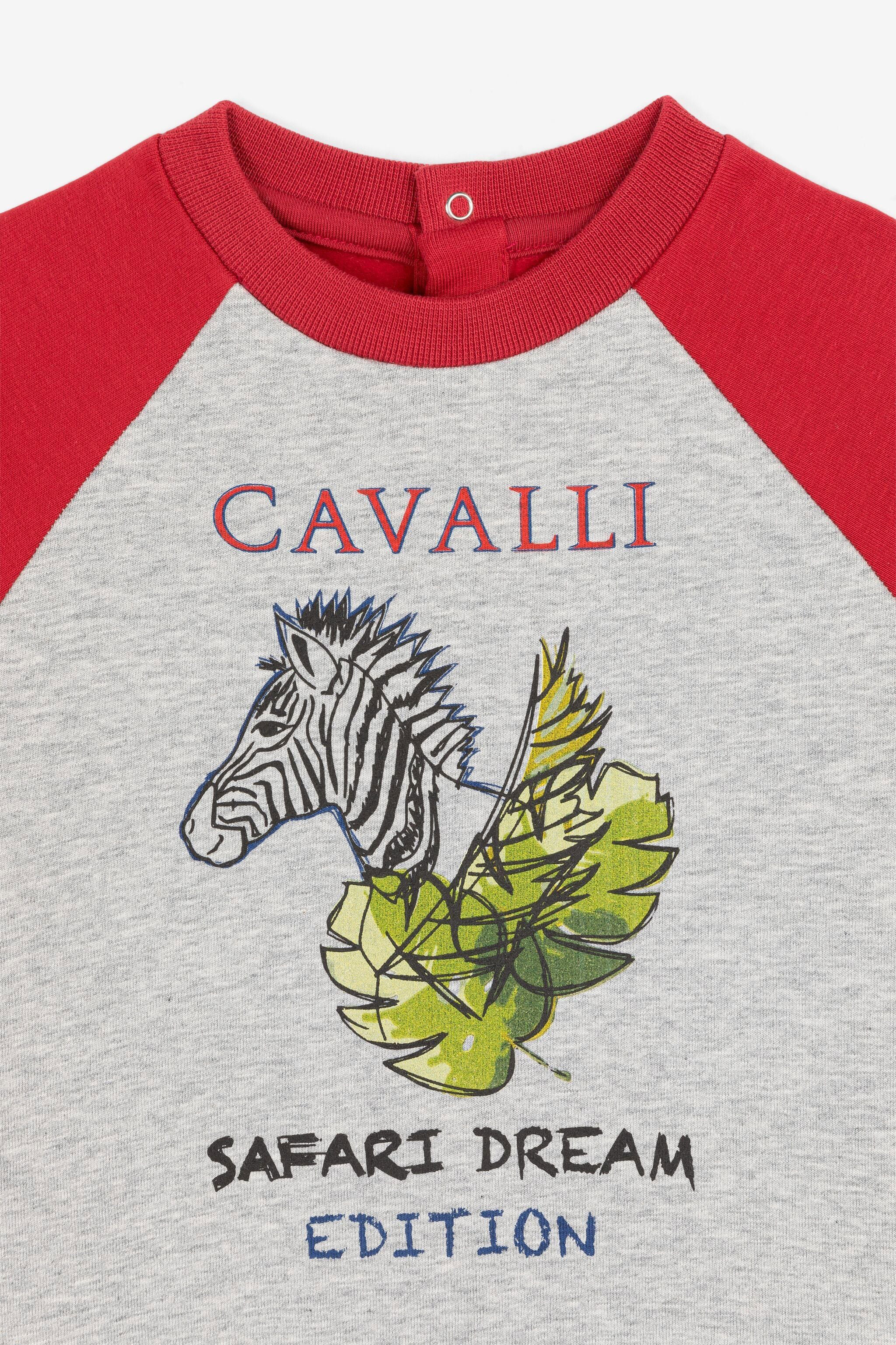Roberto Cavalli Zebra And Slogan-print Sweatshirt In White