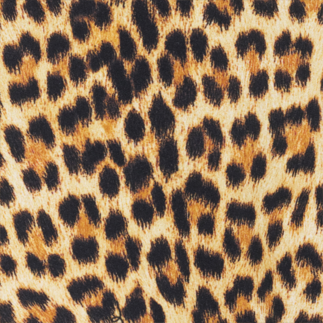 Roberto Cavalli Baby Jaguar Print One-piece Swimsuit In Multi