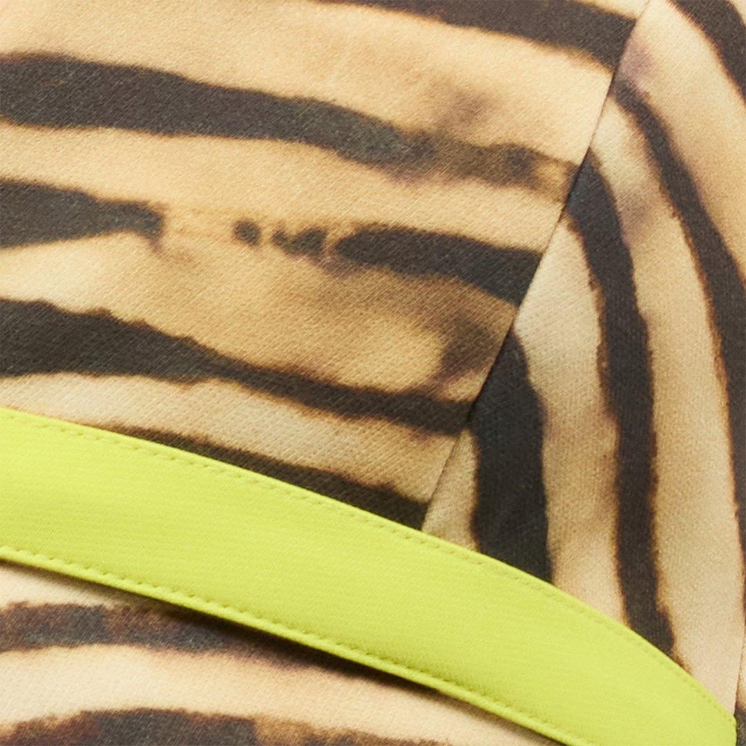 Roberto Cavalli Tiger Skin Print Crop Top In Light Brown