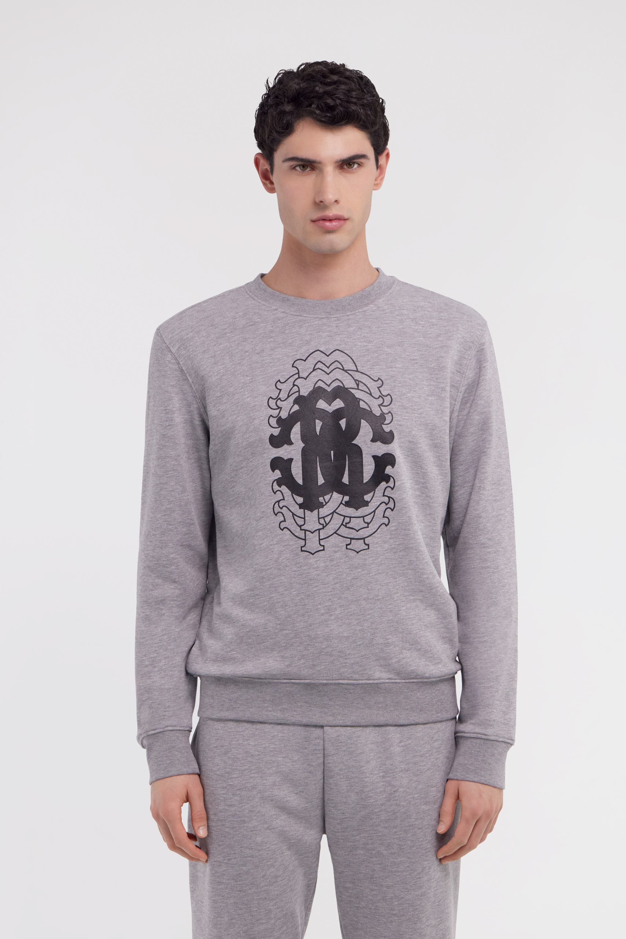 Roberto Cavalli Printed Sweatshirt In Gray