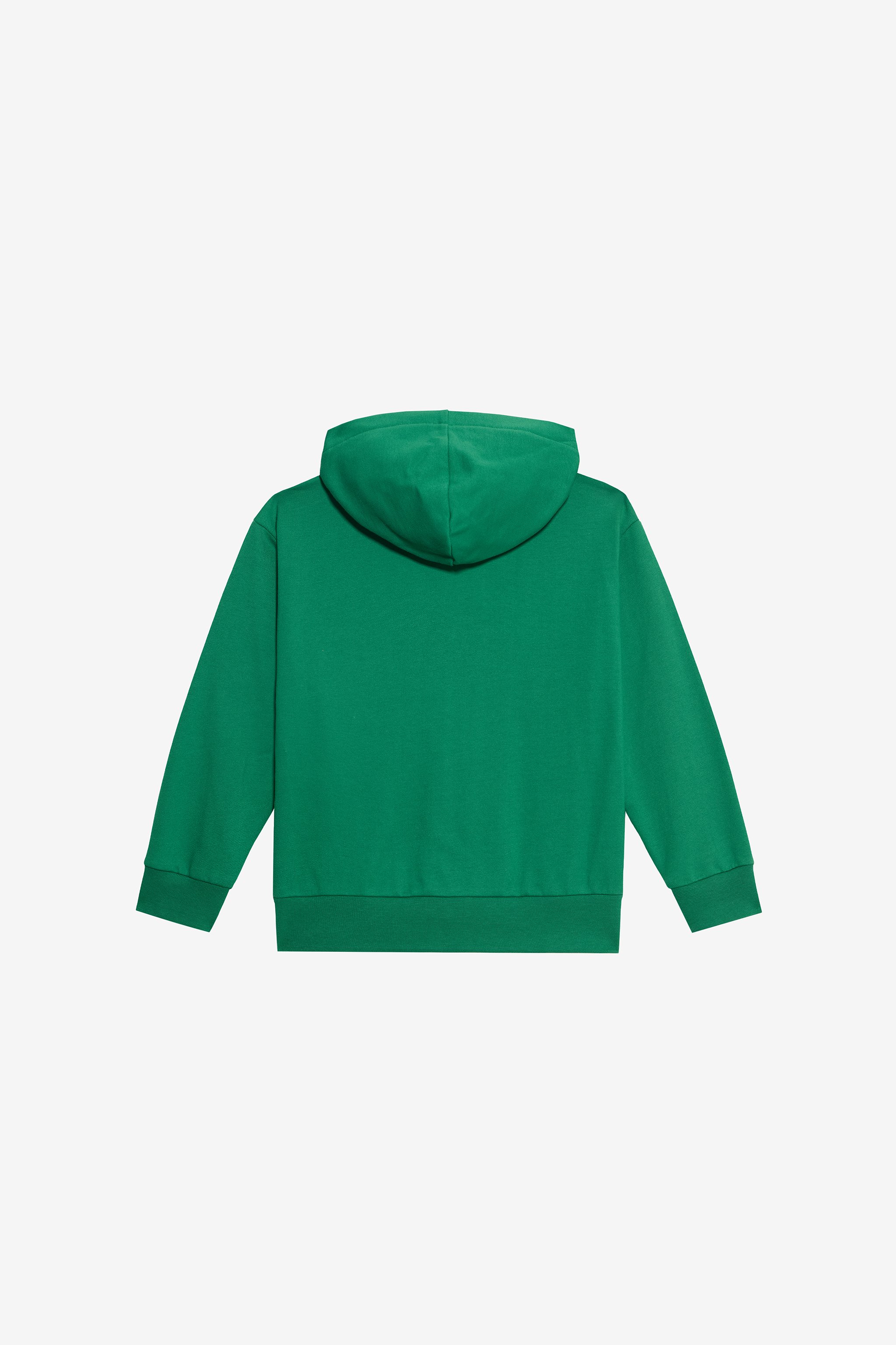Roberto Cavalli Green Hoodie With Rc Monogram In Green