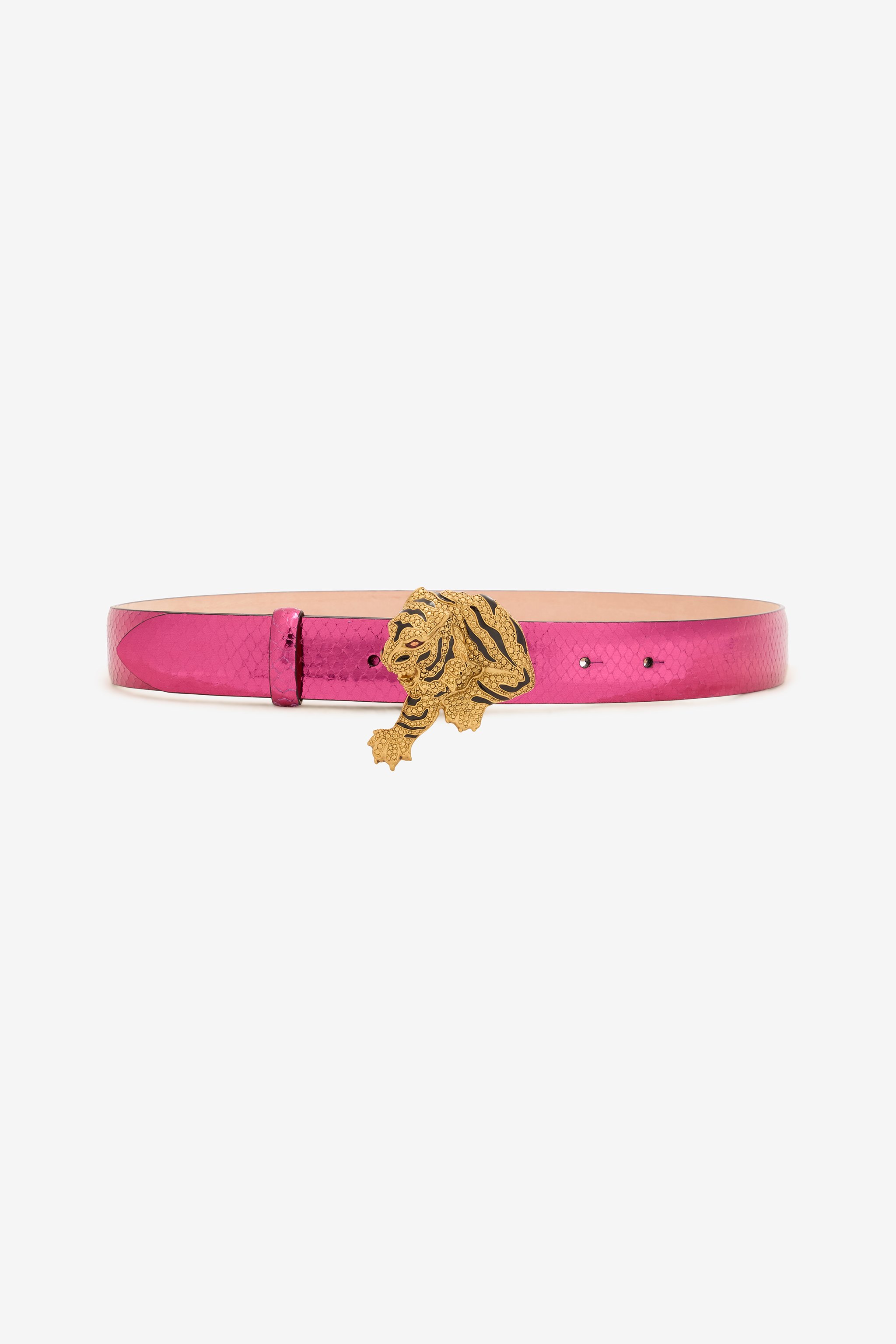 Roberto Cavalli Belt With Snake Print And Jewel Tiger Detail In Fuchsia