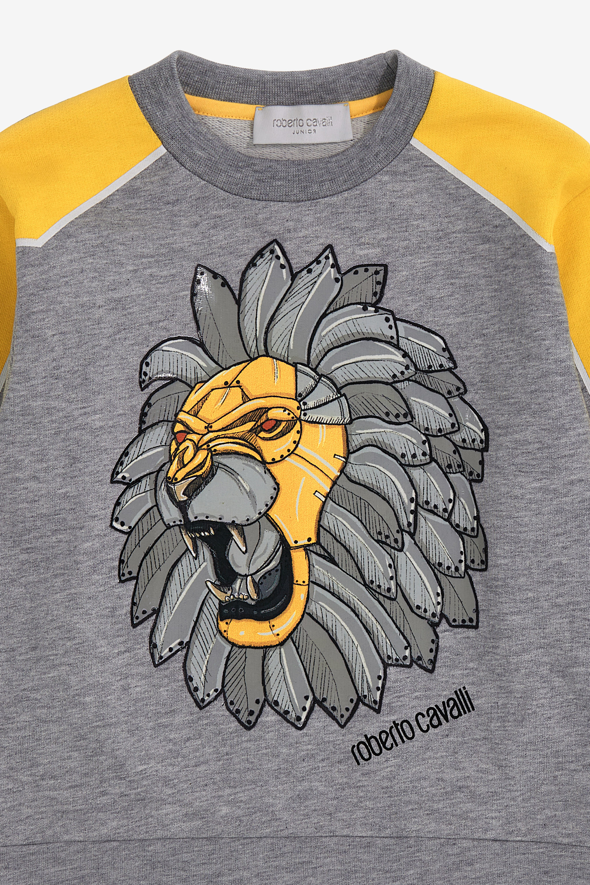 Roberto Cavalli Printed Sweatshirt In Gray