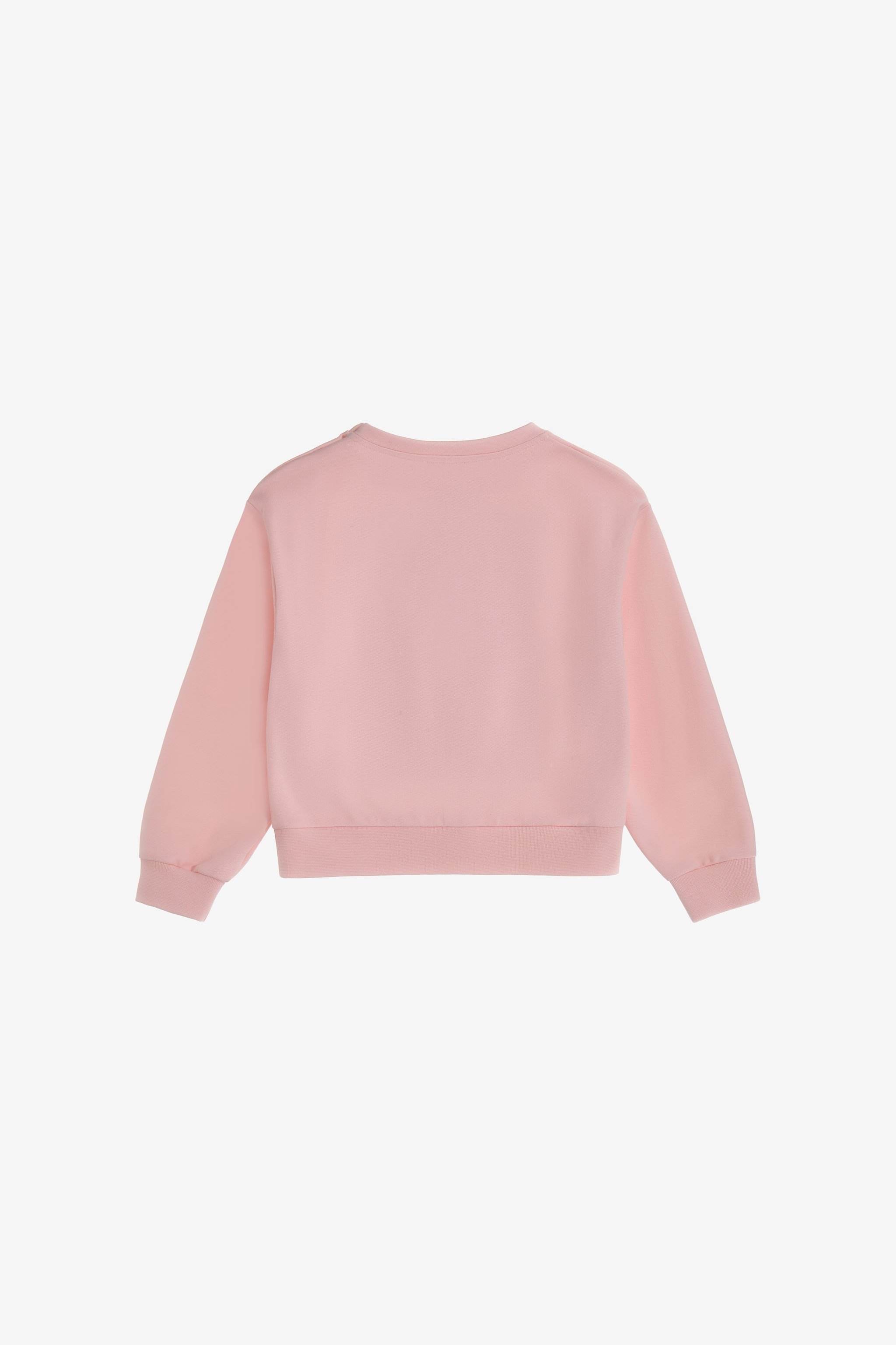 Roberto Cavalli Printed Sweatshirt In Pink