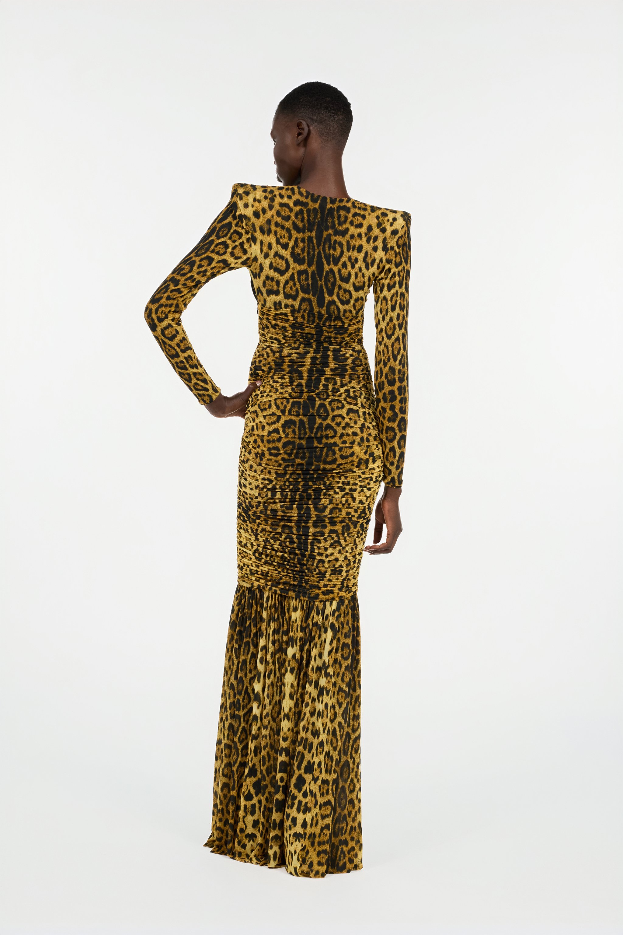 Roberto Cavalli Long Dress With Jaguar Skin Print In Multi