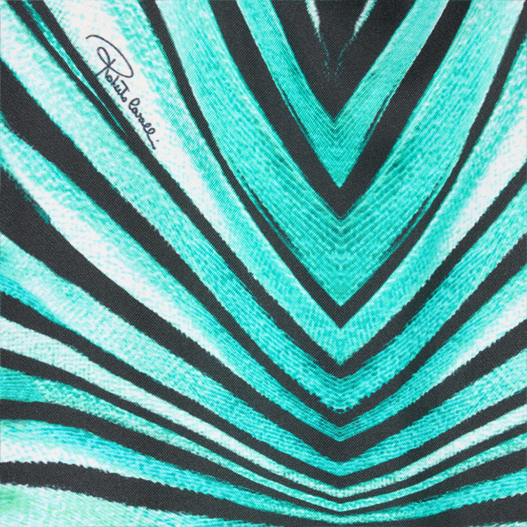 Roberto Cavalli Ray Of Sea Print Silk Shirt