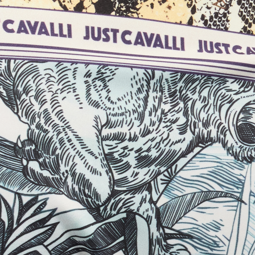 Roberto Cavalli All-over Print Bikini In Light Blue