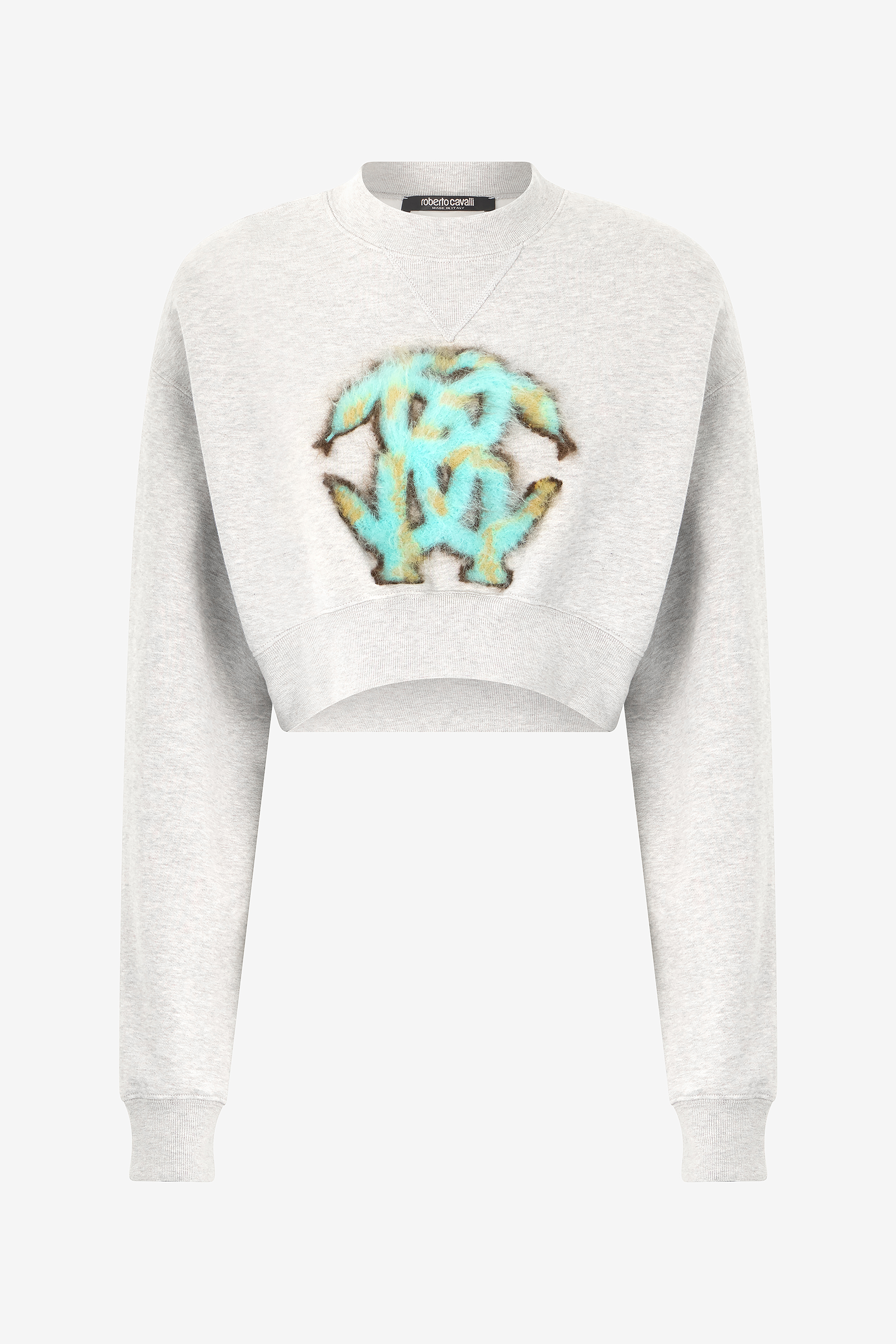Roberto Cavalli Women's Gray Cropped Sweatshirt With Mirror Snake Monogram - Image 1