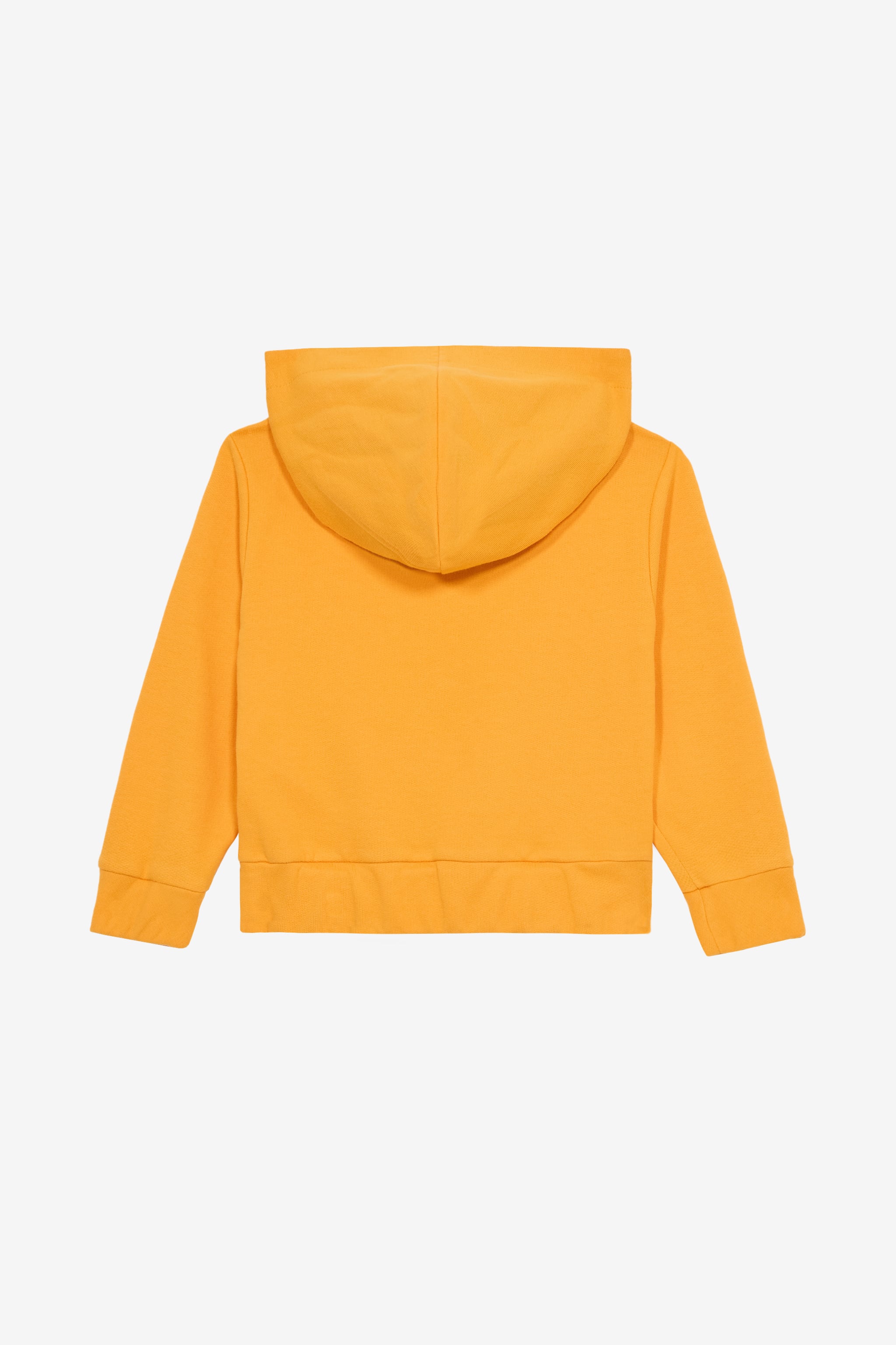  Roberto Cavalli Safari Edition Hooded Sweatshirt With Rc Monogram - Male Baby Boys (6m-3y) Orange 18m 