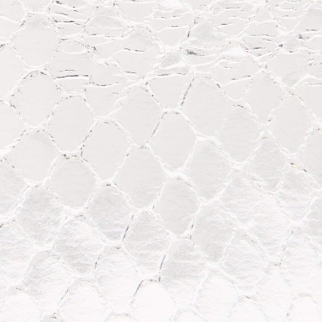 Roberto Cavalli Metallic Snake-scale Card Holder In Silver