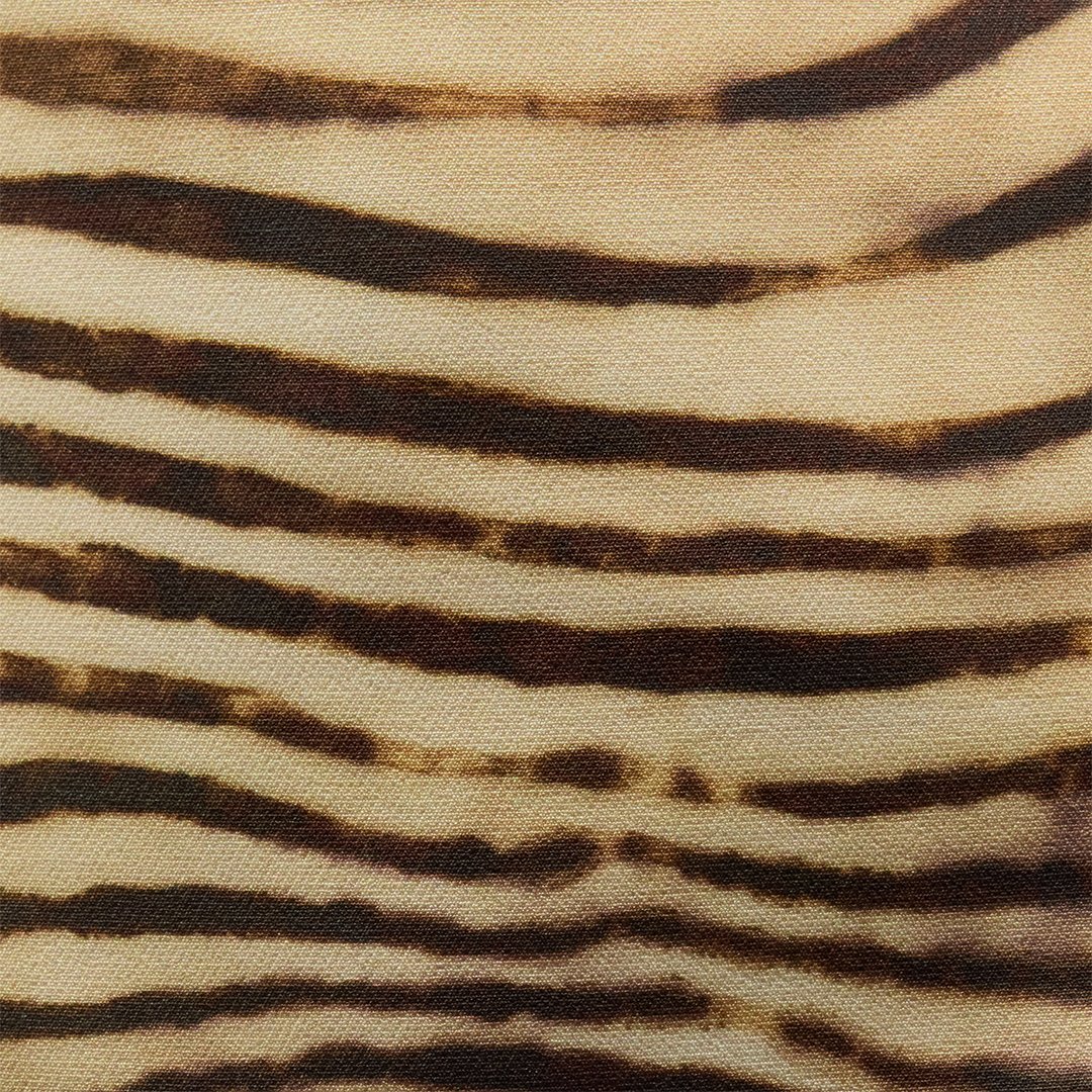 Roberto Cavalli Mini Dress With Tiger Skin Print In Light Brown