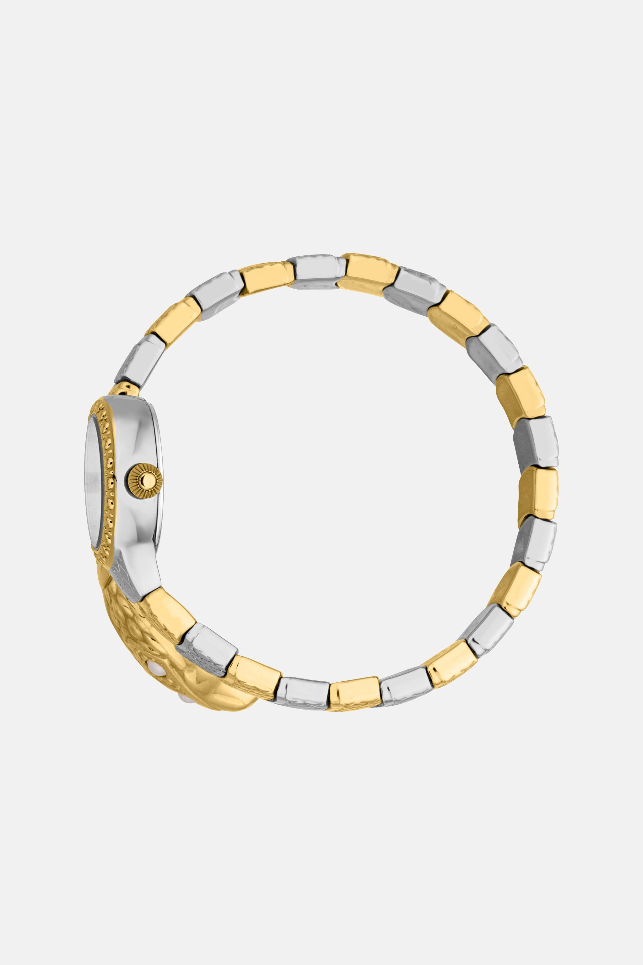 Roberto Cavalli By Franck Muller Signature Snake Watch In Silver/gold