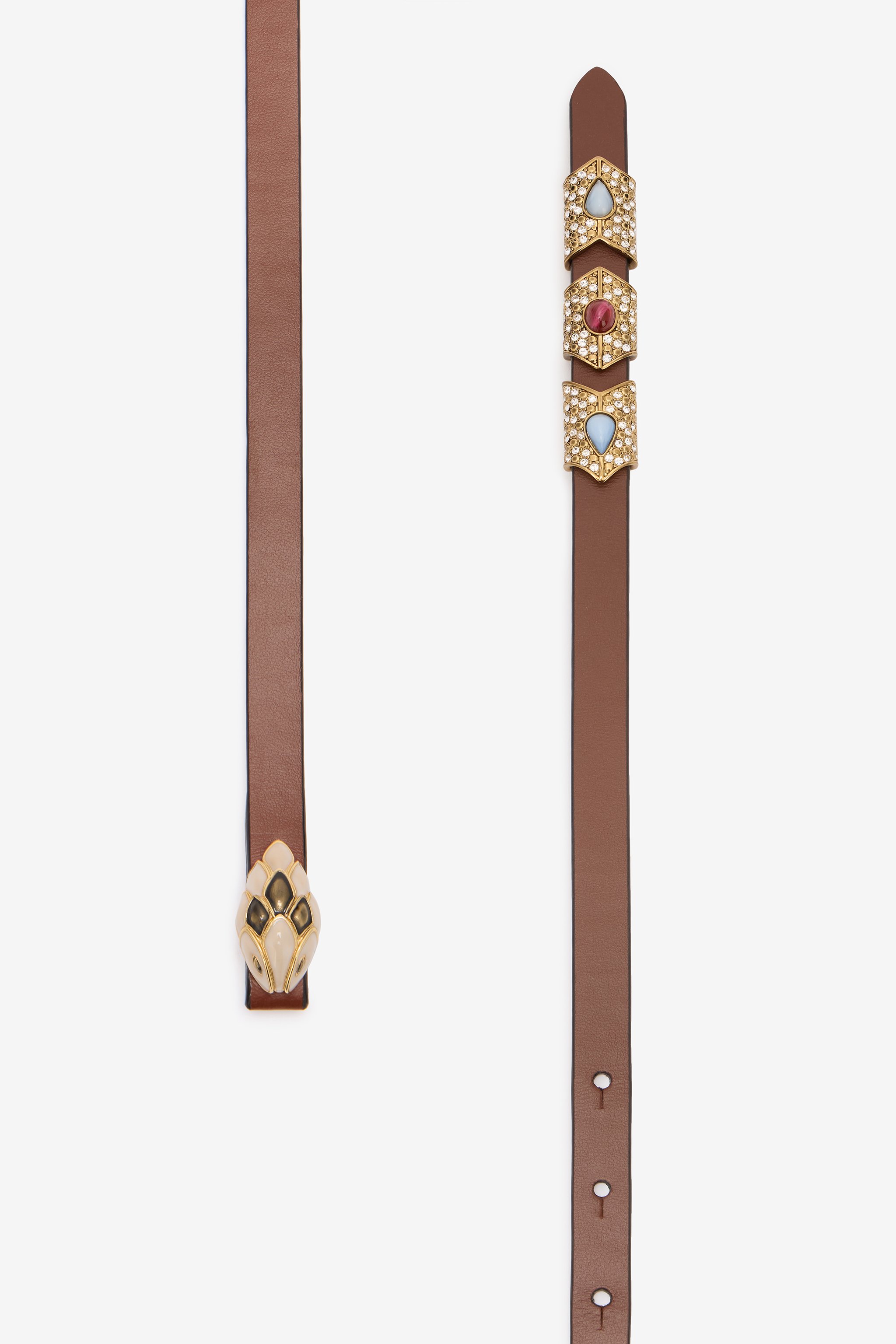 Roberto Cavalli Snake-head Crystal-embellished Belt In Brown
