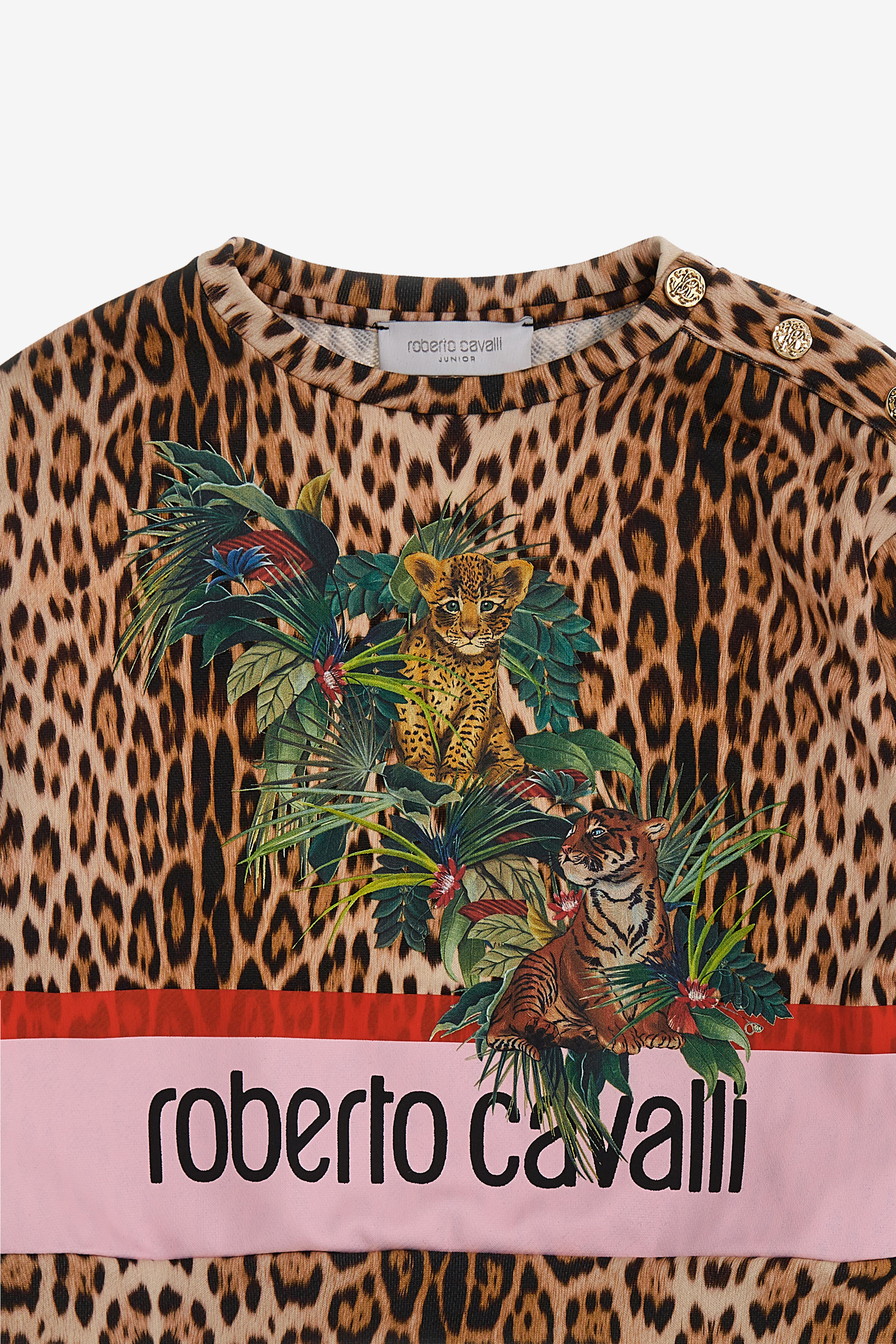 Roberto Cavalli Printed Sweatshirt In Light Brown