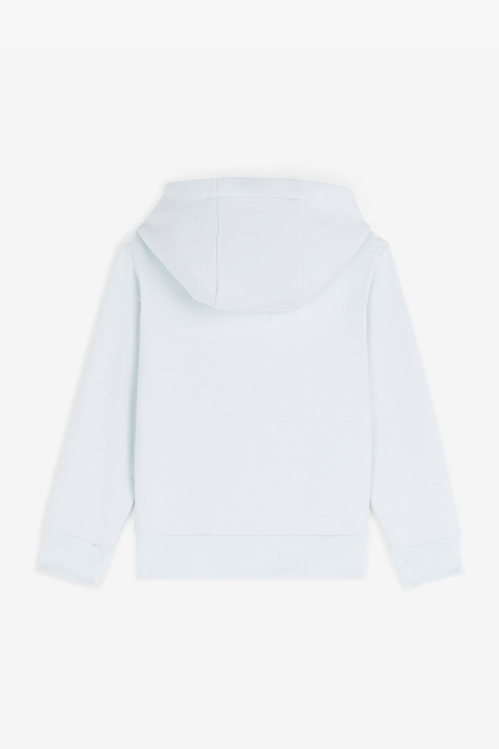 Roberto Cavalli Teddy Bear-print Cotton Hoodie In Light Blue