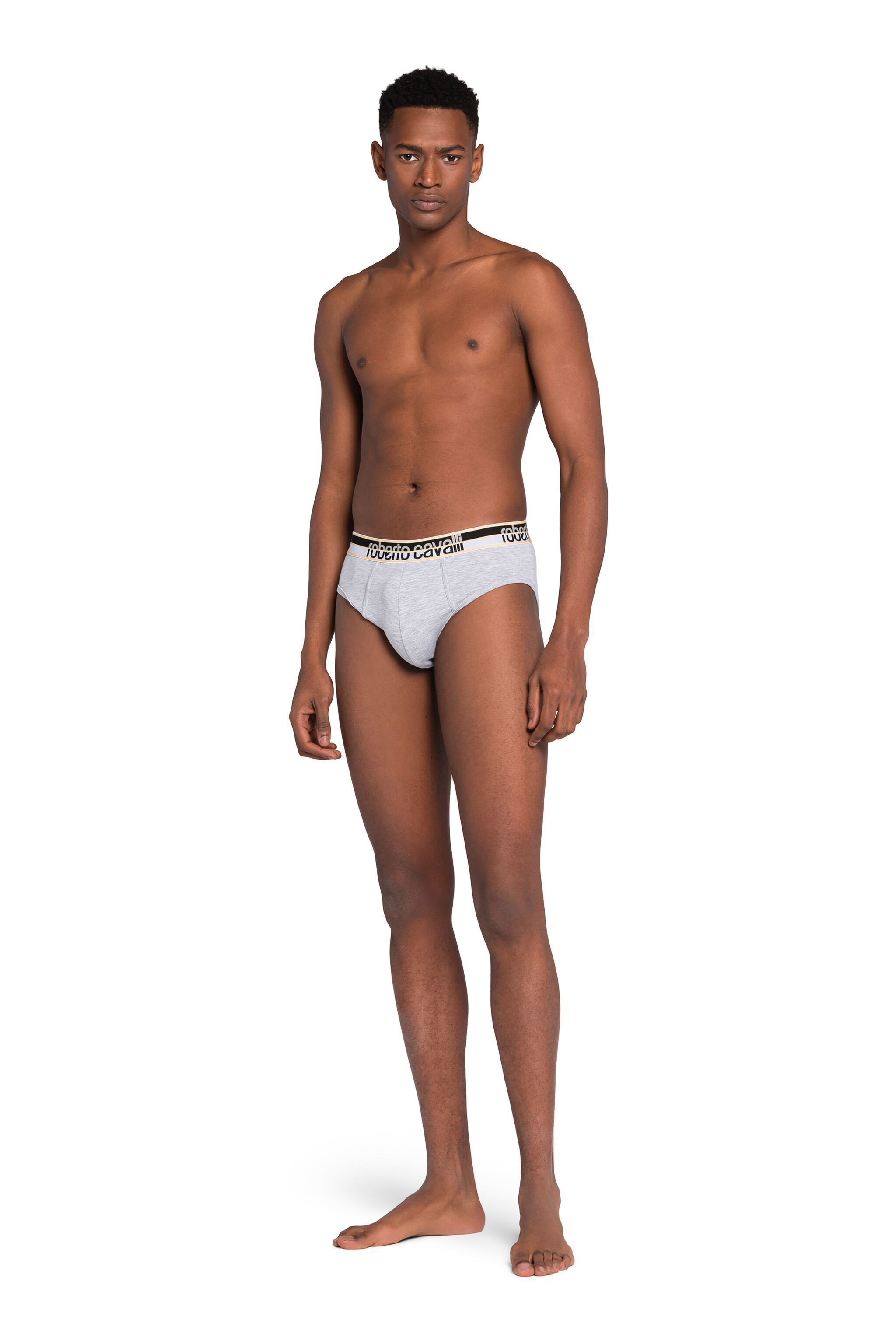 Roberto Cavalli Men's Gray Logo Briefs