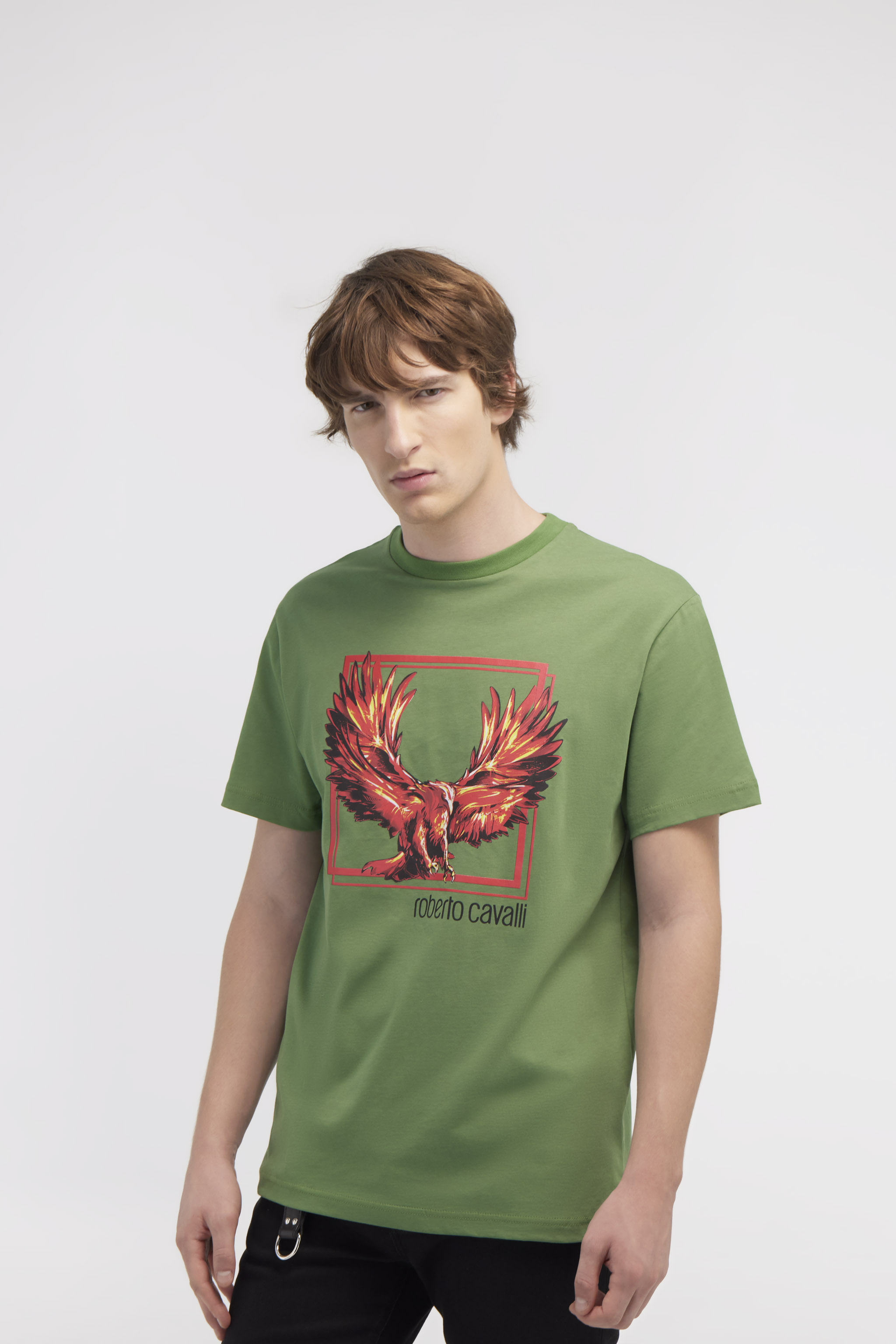 Roberto Cavalli T-shirt With Eagle Logo And Print In Green