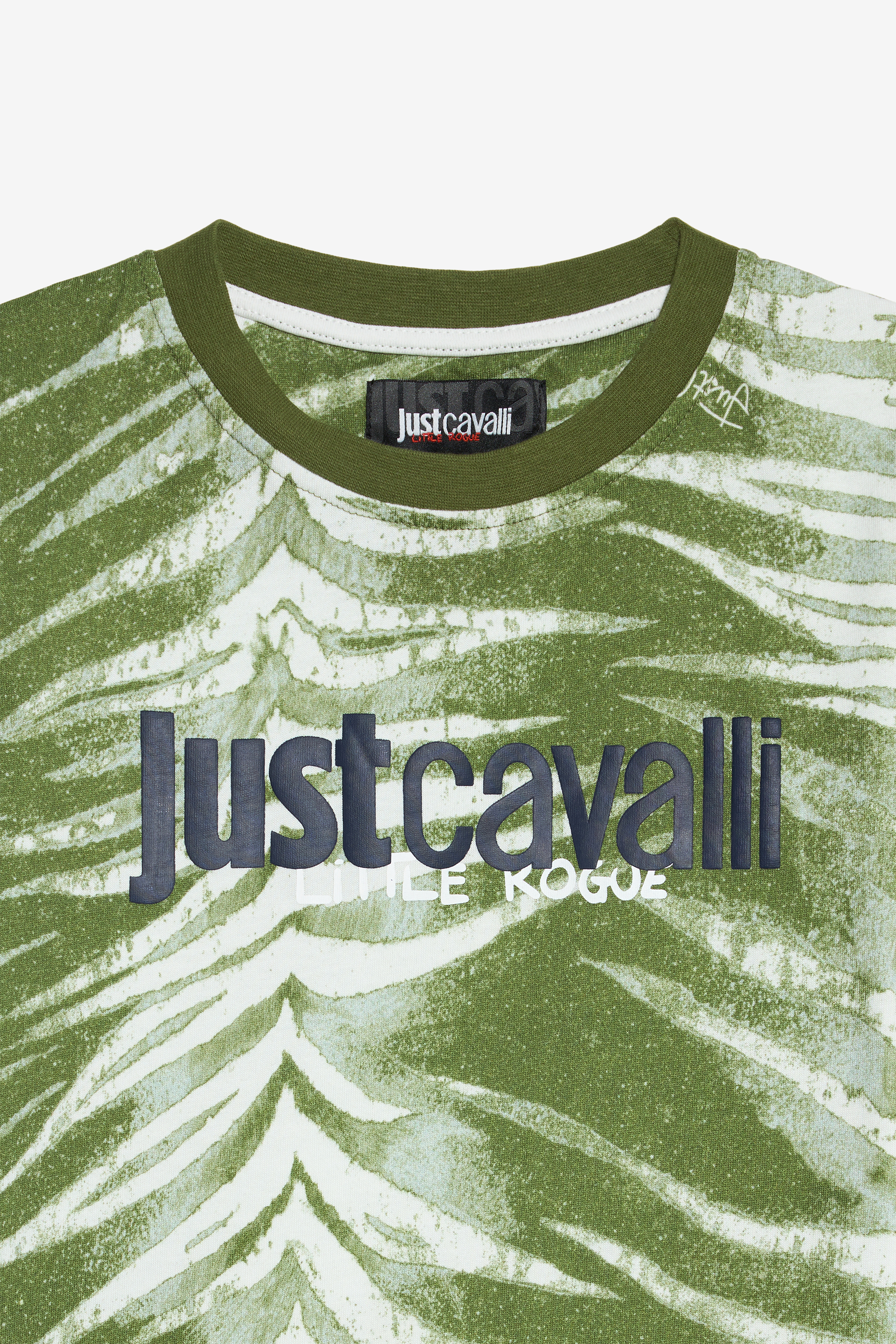  Roberto Cavalli  - Boy T-shirts Zebra Green 12a 