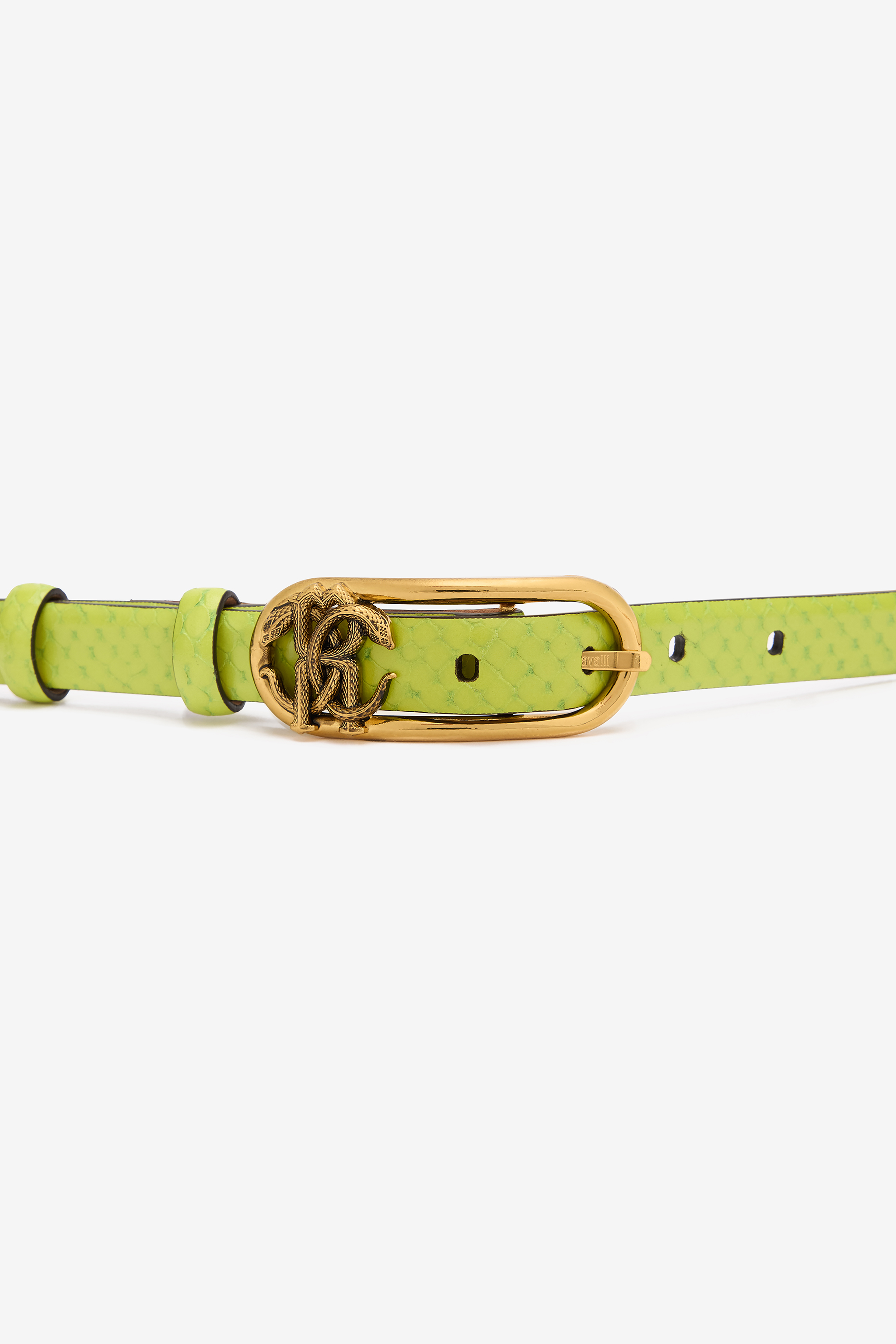  Roberto Cavalli Snake-effect Belt With Mirror Snake Monogram - Female  Light Green 95 