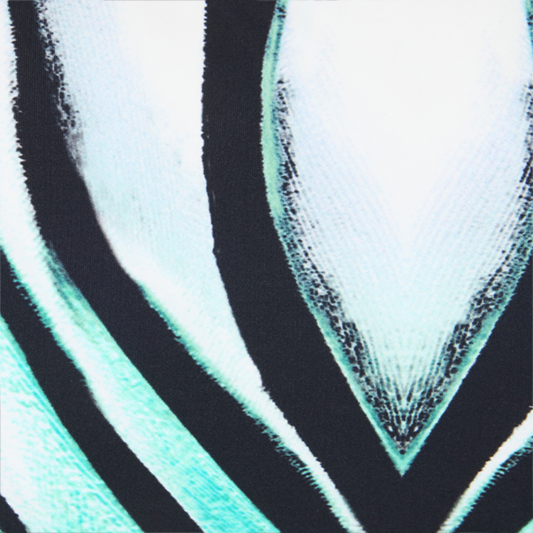 Roberto Cavalli Ray Of Sea Print Crop Top