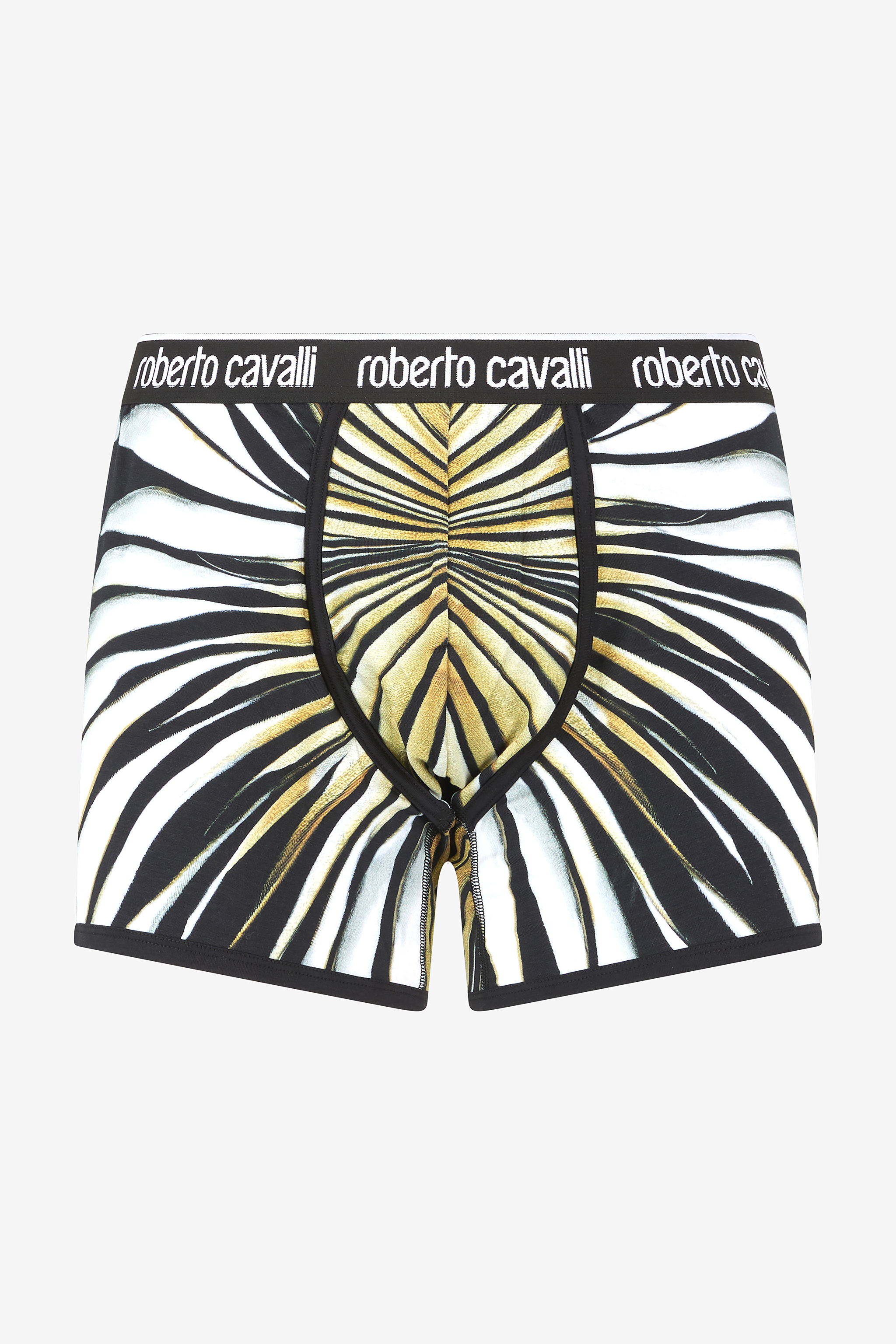 Shop Roberto Cavalli Boxers With Ray Of Gold Print