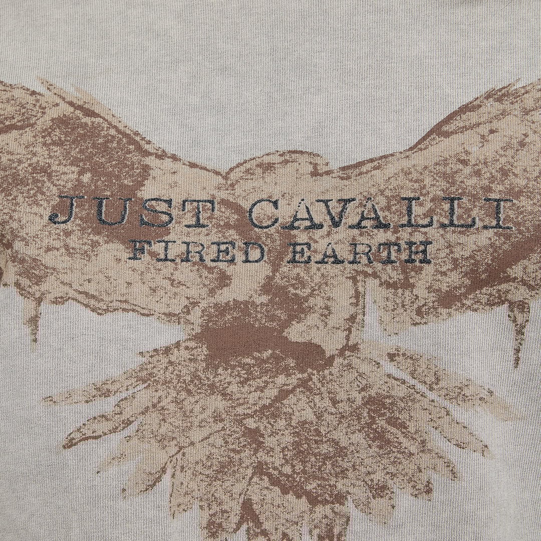 Roberto Cavalli Grey T-shirt With Eagle Print And Studs In Gray
