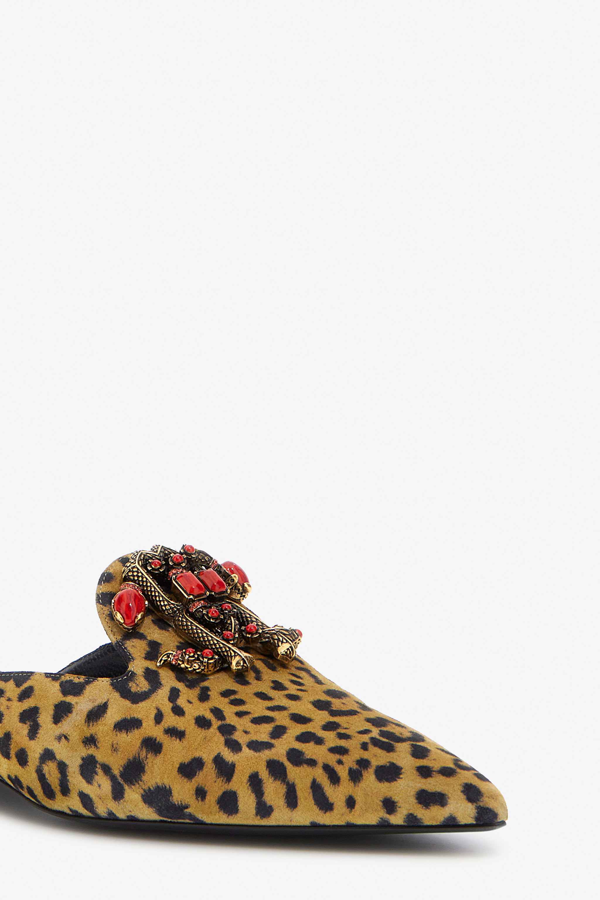 Shop Roberto Cavalli Mules With Logo And Stones In Light Brown