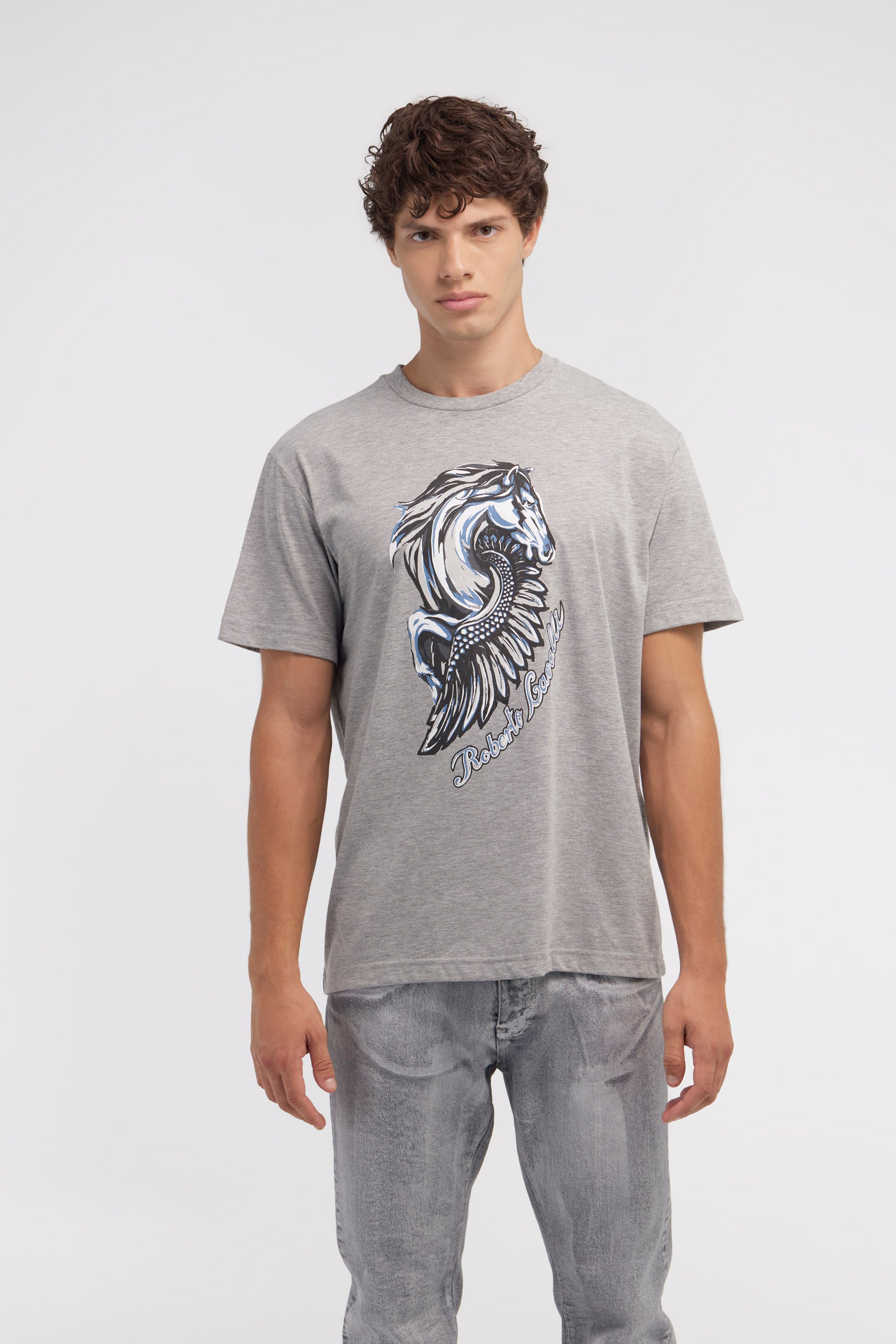 Shop Roberto Cavalli T-shirt With Horse Logo And Print In Gray