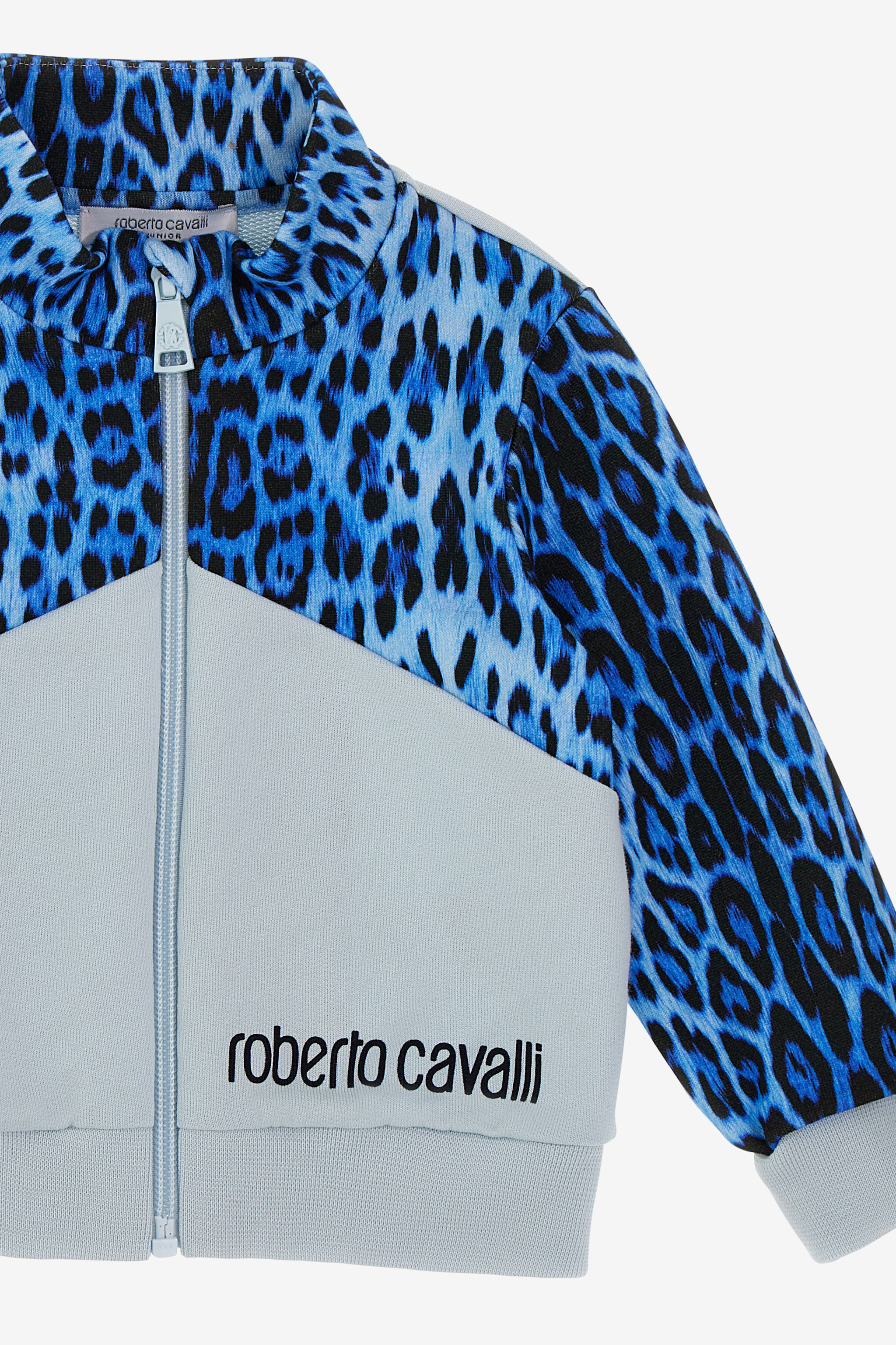 Roberto Cavalli Printed Sweatshirt In Light Blue