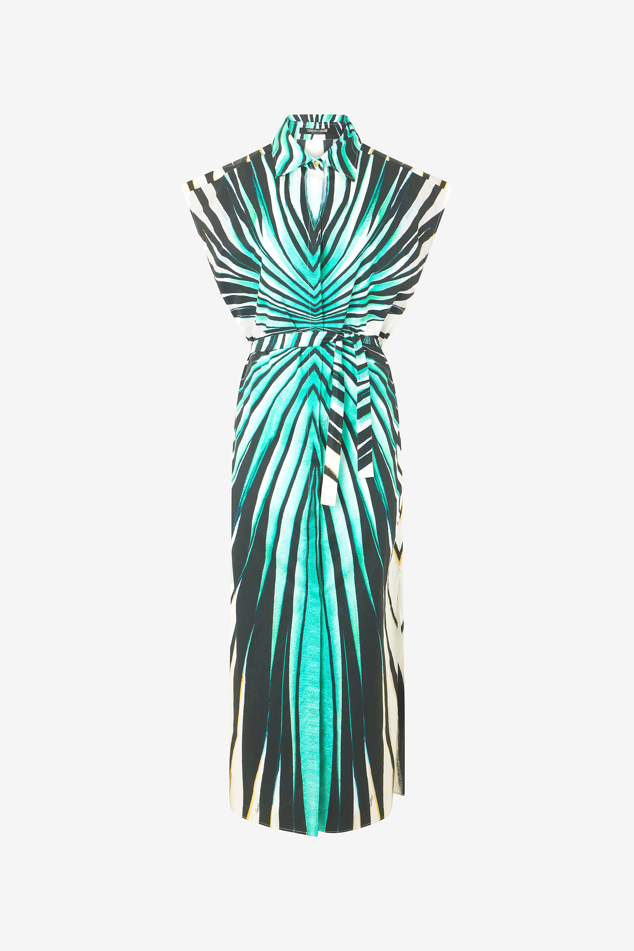 Roberto Cavalli Ray Of Sea Print Shirt Dress