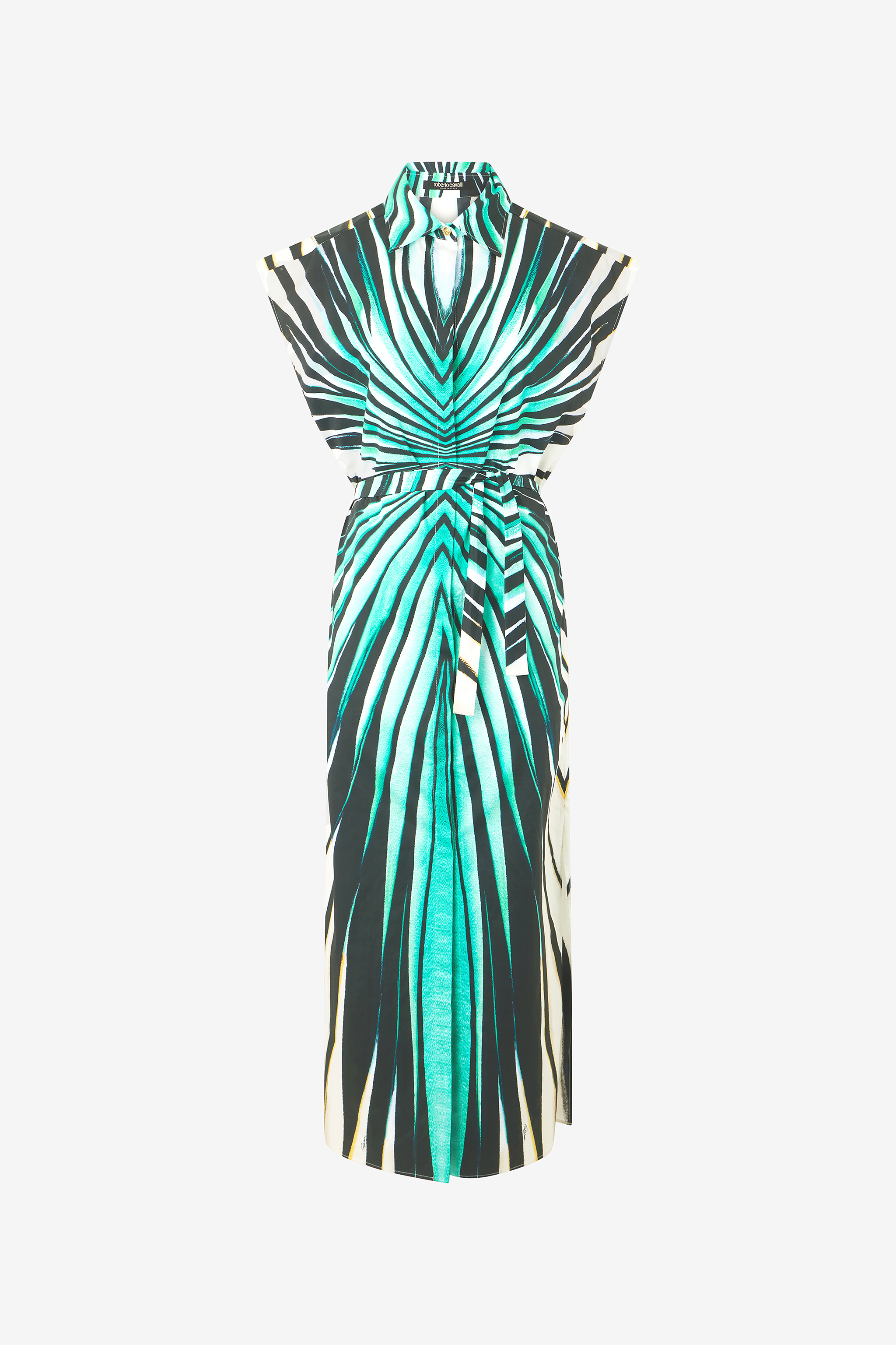 Roberto Cavalli Women's Light/Blue Ray Of Sea Print Midi Dress - Dresses
