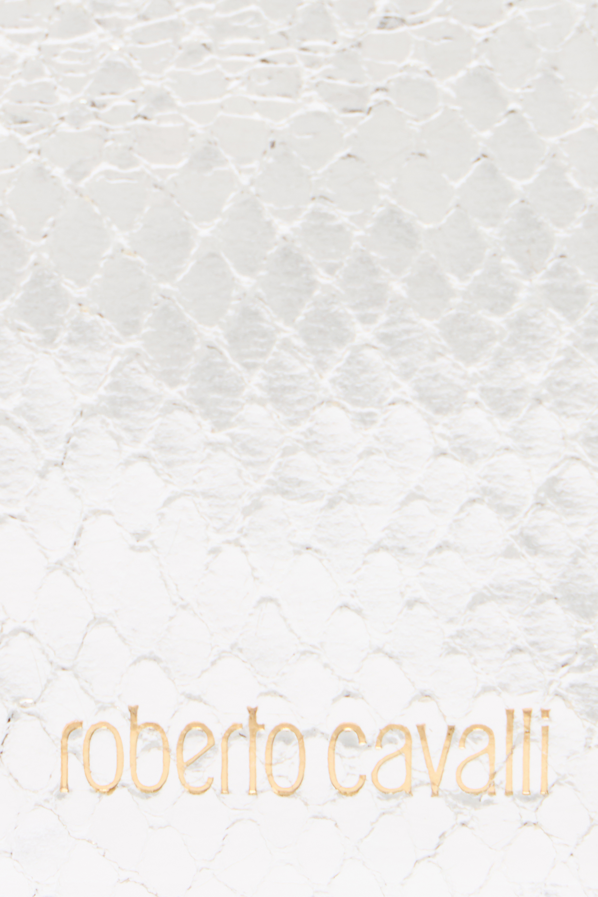 Roberto Cavalli Metallic Snake-scale Card Holder In Silver