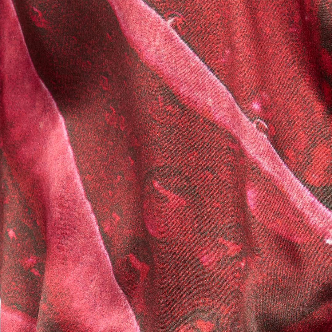 Roberto Cavalli Garden Rose Print Bodysuit Shirt In Rosso