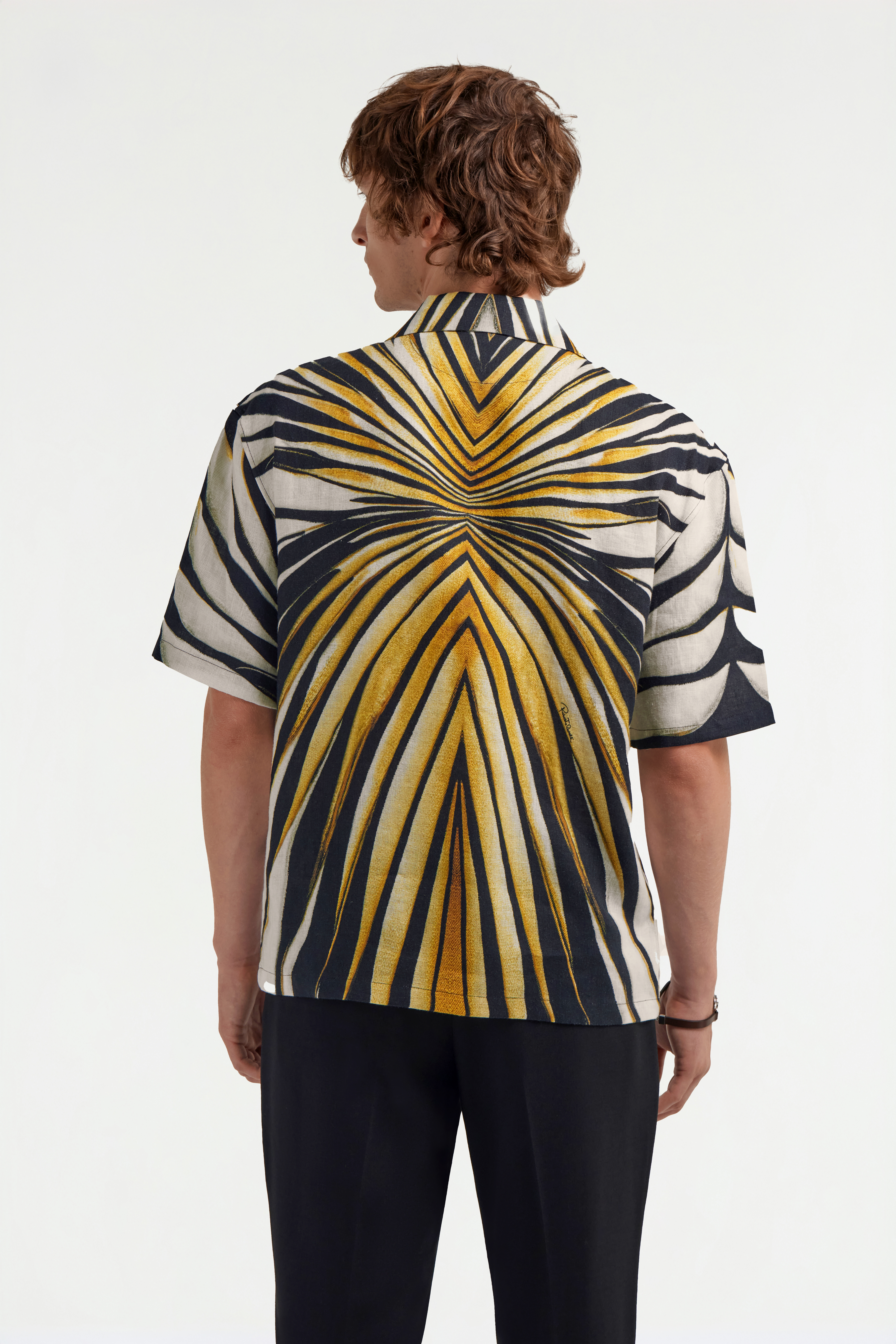 Roberto Cavalli Ray Of Gold Print T-shirt In Gold