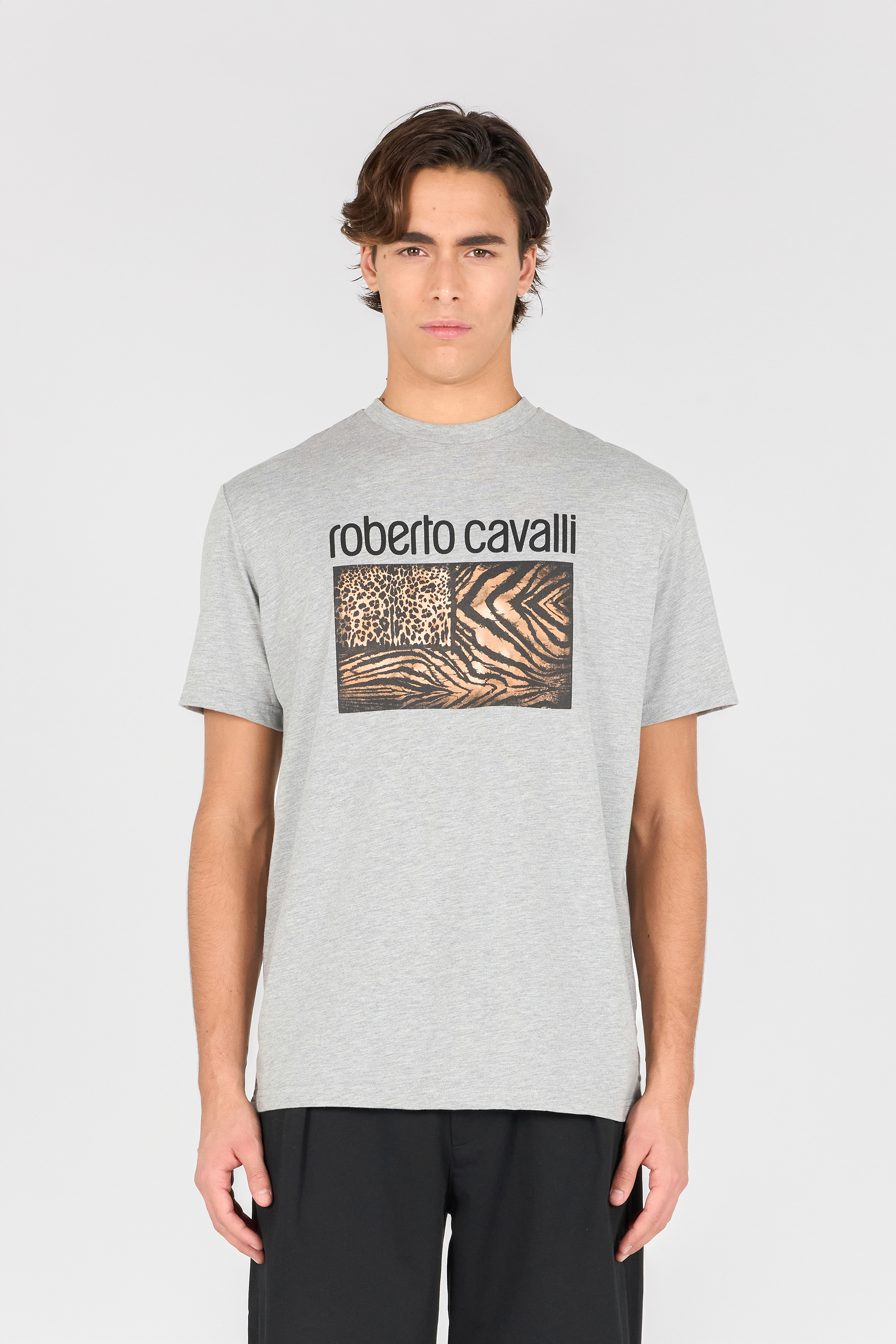 Roberto Cavalli Animal Print T-shirt With Logo In Gray