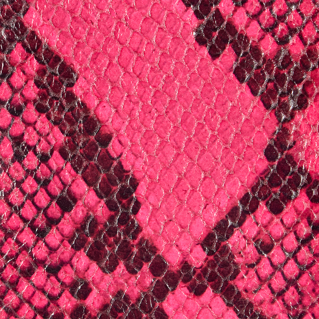 Roberto Cavalli Minirock Mit Schlangenprint In Fuchsia