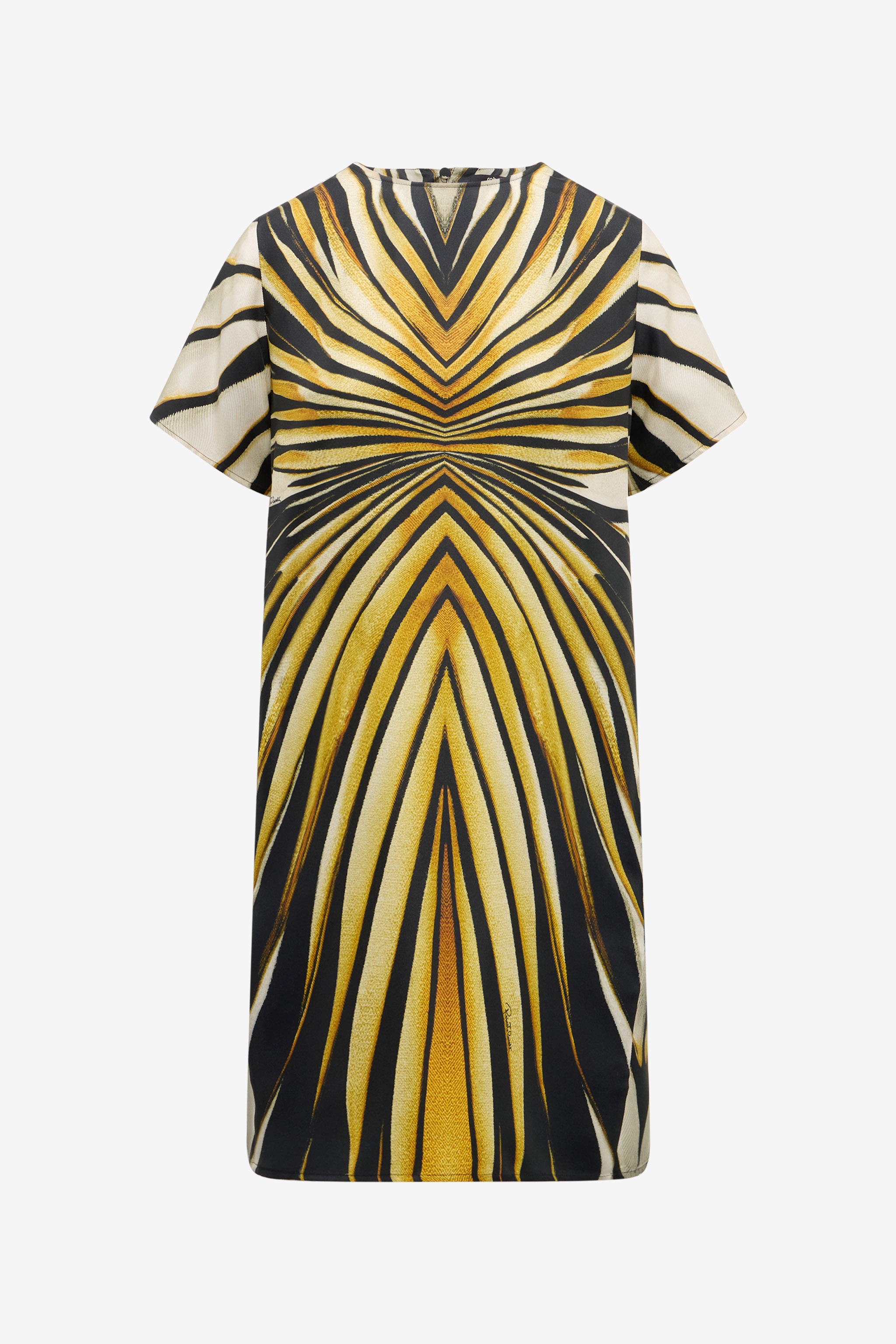 Roberto Cavalli Women's Gold Ray Of Print Silk Mini Dress - Mini Dresses