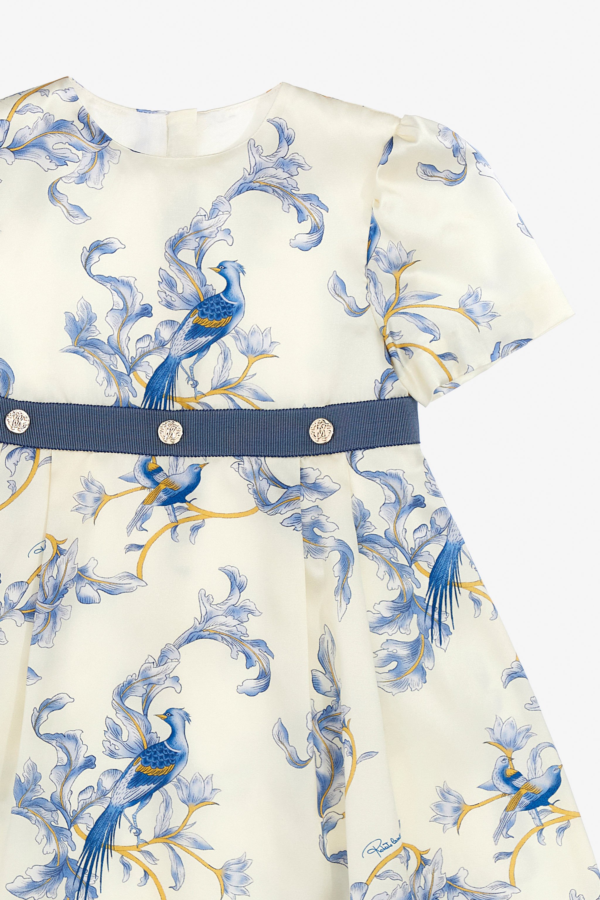 Blue Baroque Bird Print Dress