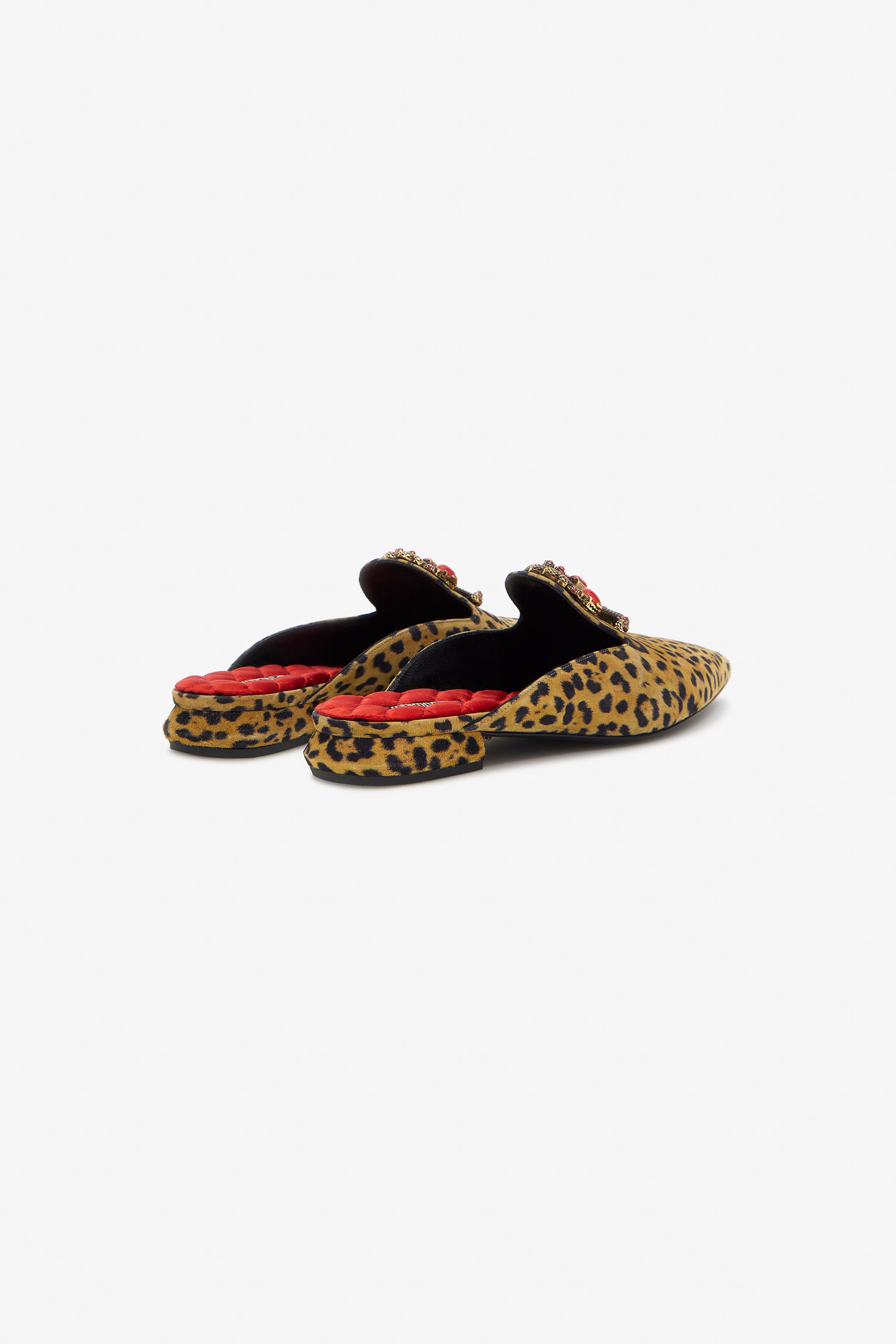 Shop Roberto Cavalli Mules With Logo And Stones In Light Brown