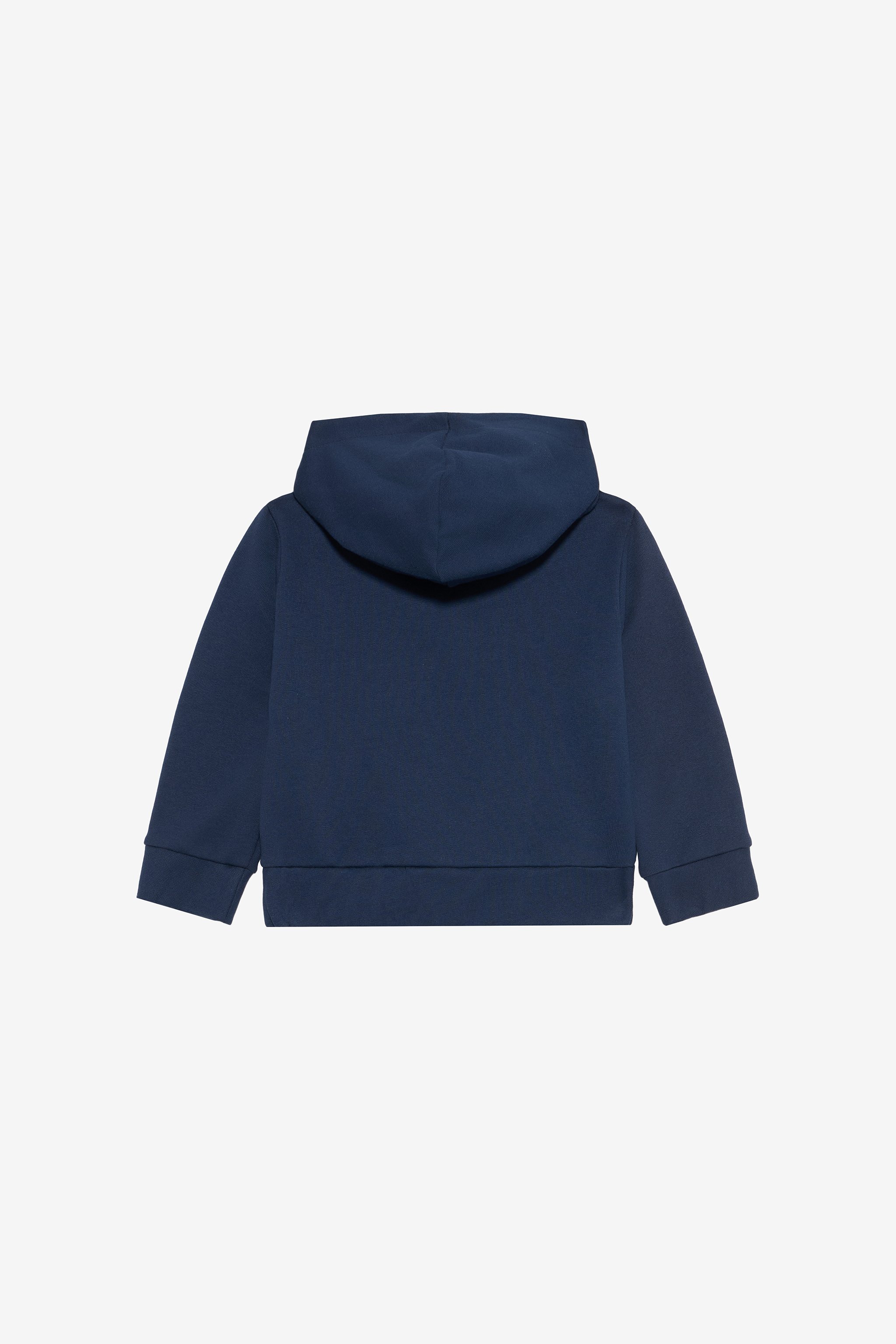 Roberto Cavalli Blue Sweatshirt With Tiger Print In Blue