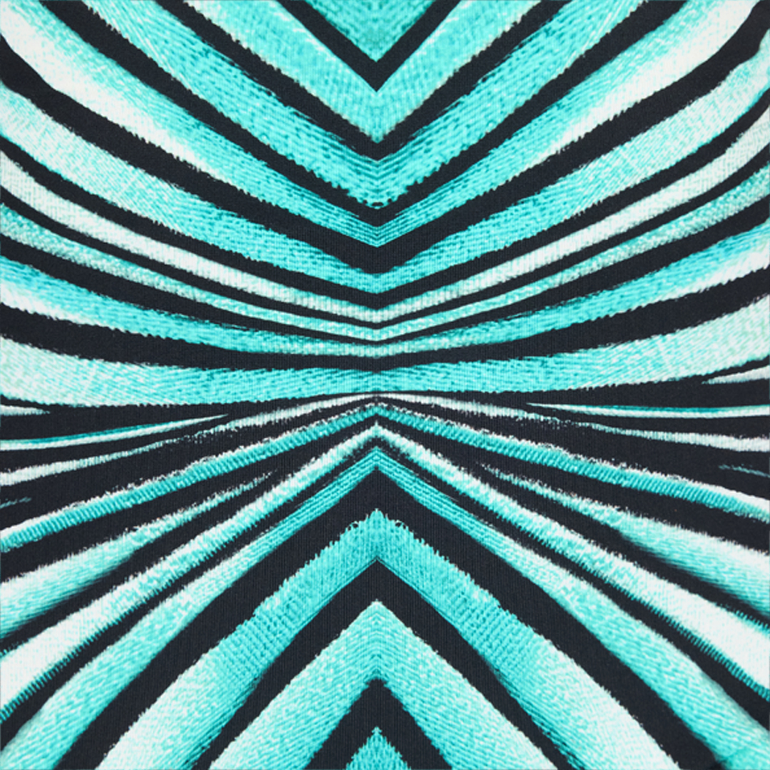 Roberto Cavalli Ray Of Sea Print Jumpsuit