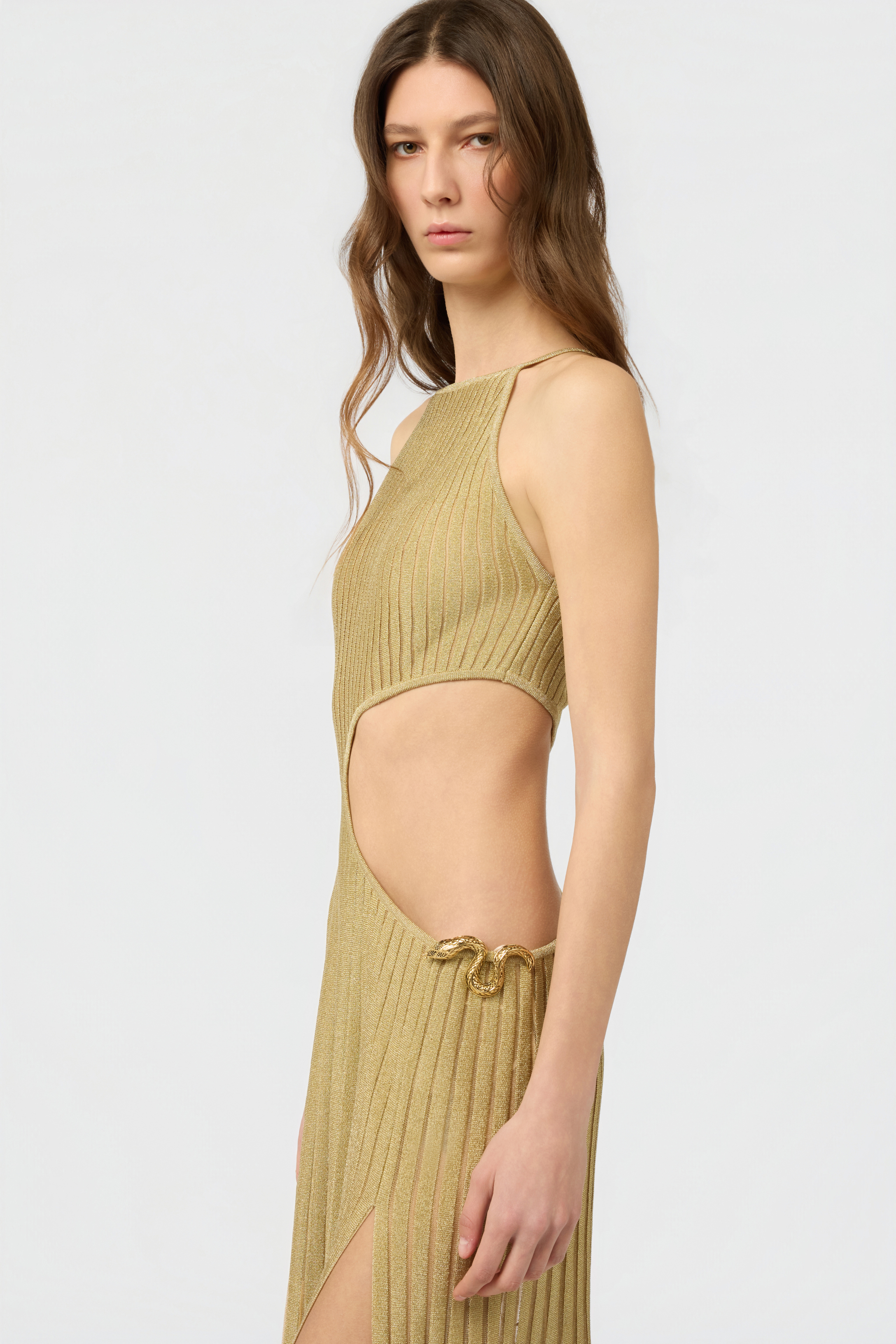 Roberto Cavalli Long Sheer Gold Dress With Cut-outs In Nude