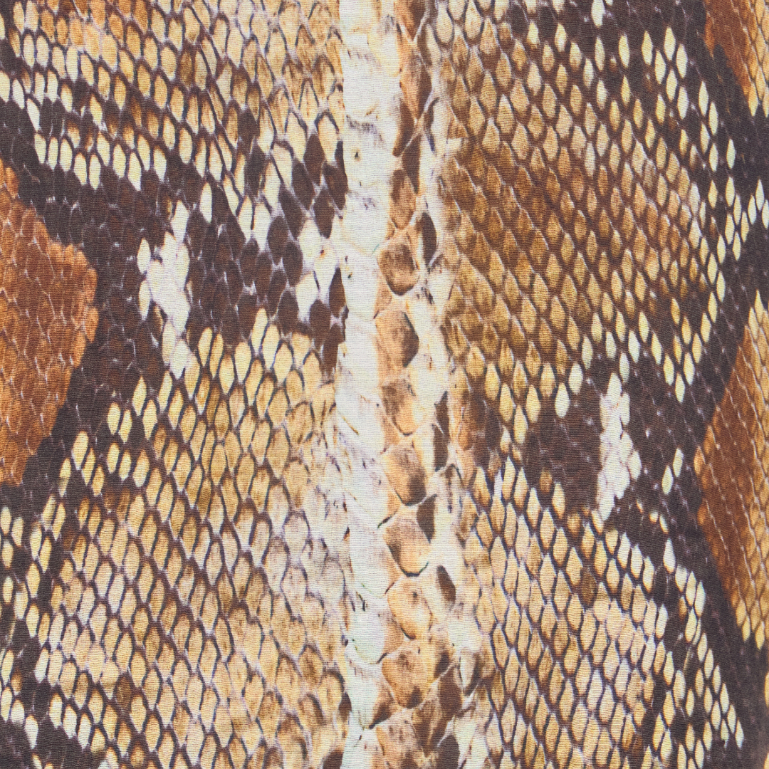 Roberto Cavalli Dresses Brown In Brown