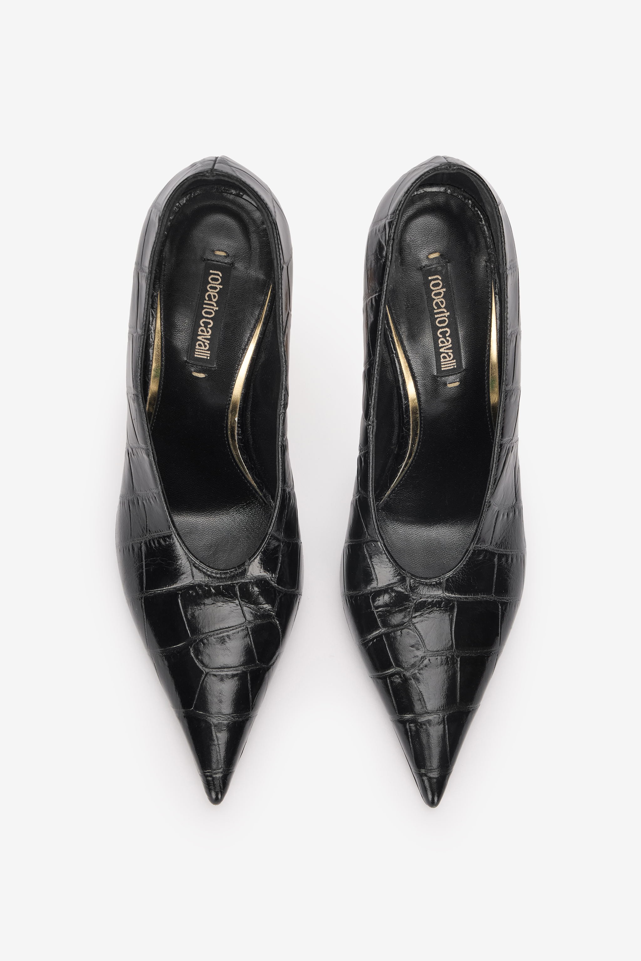 Crocodile Scale-Effect Pumps