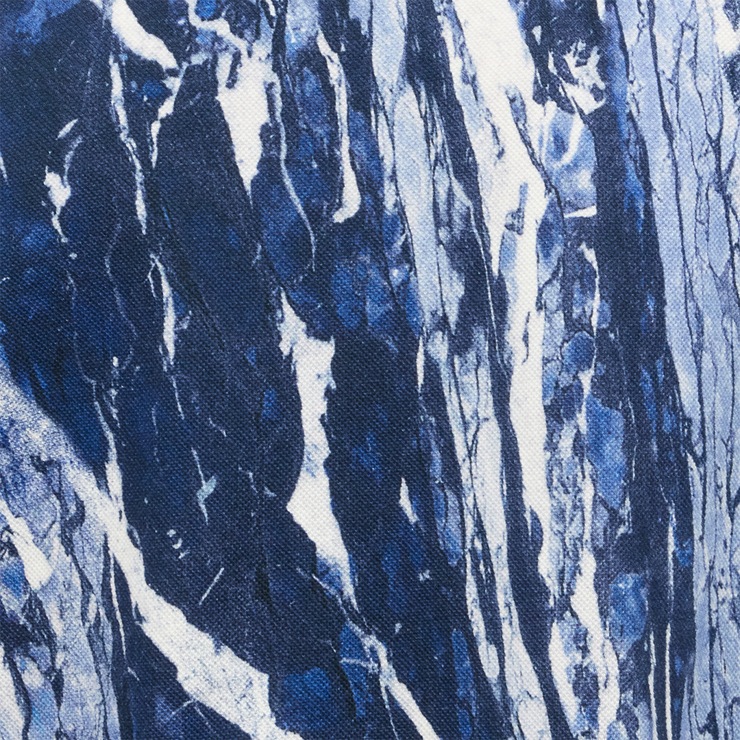Roberto Cavalli Rubane Print Polo In Blue