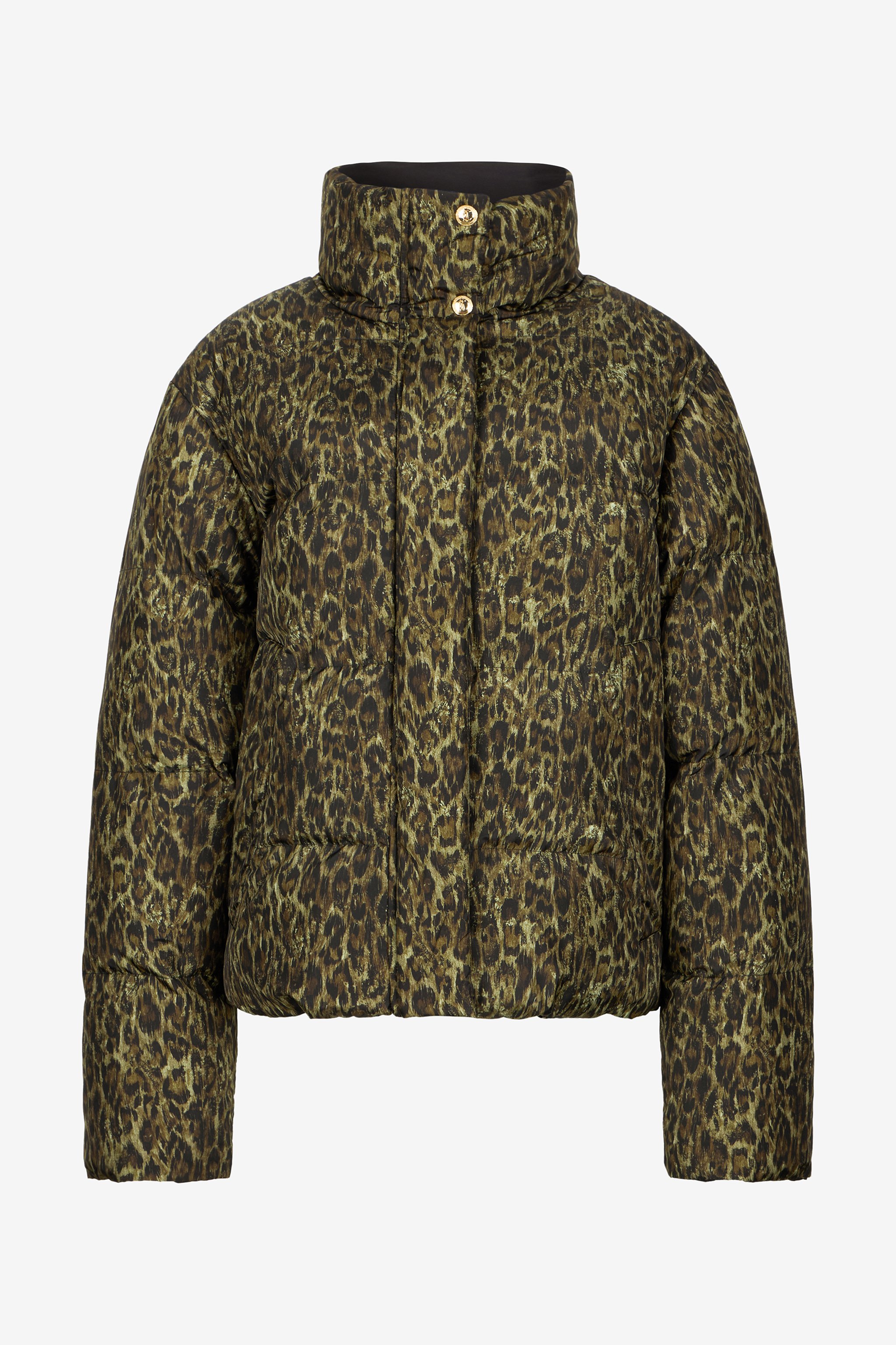 Roberto Cavalli Leopard Jacquard Print Reversible Puffer Jacket In Black