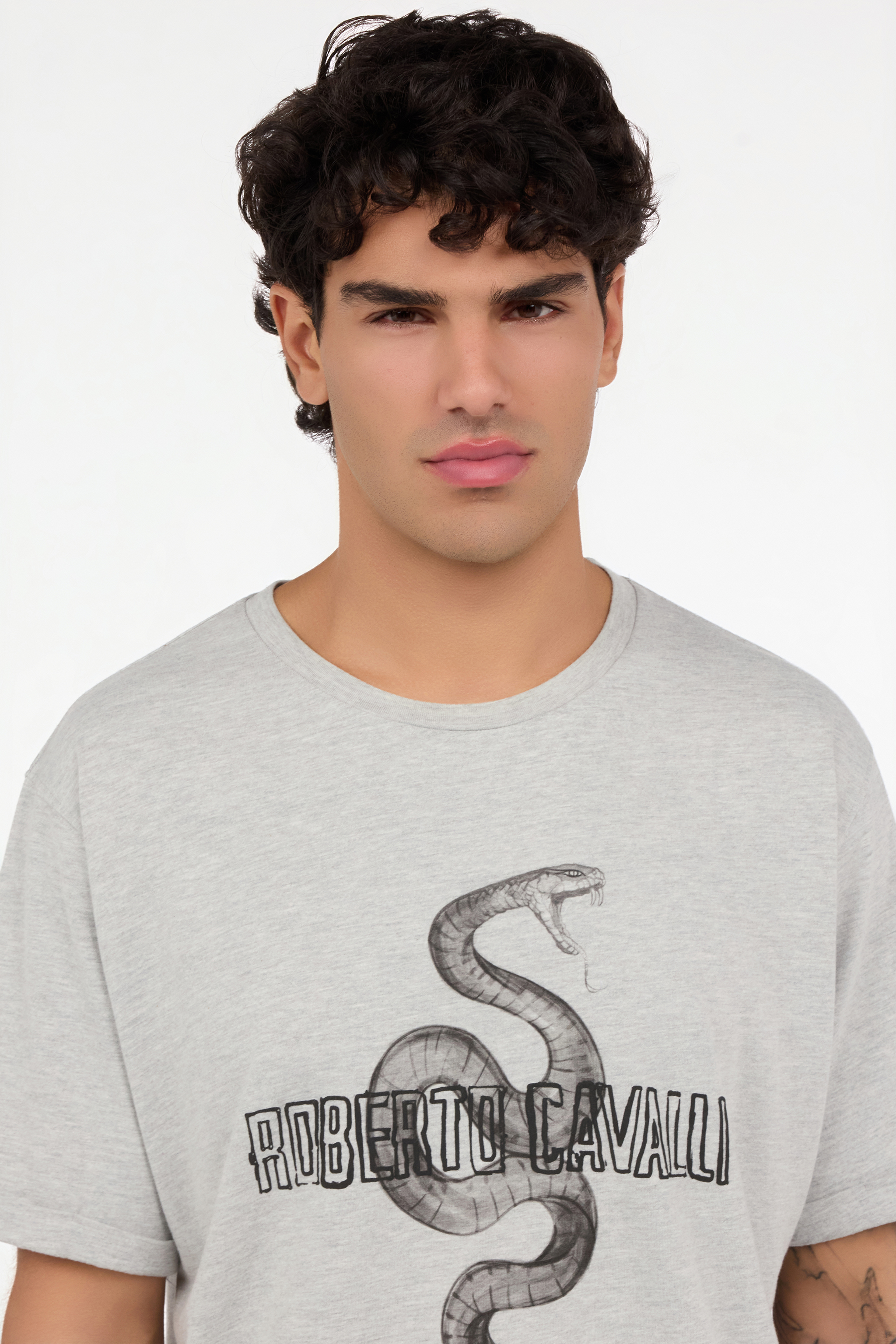 Grey Mélange T-Shirt with Snake and Logo