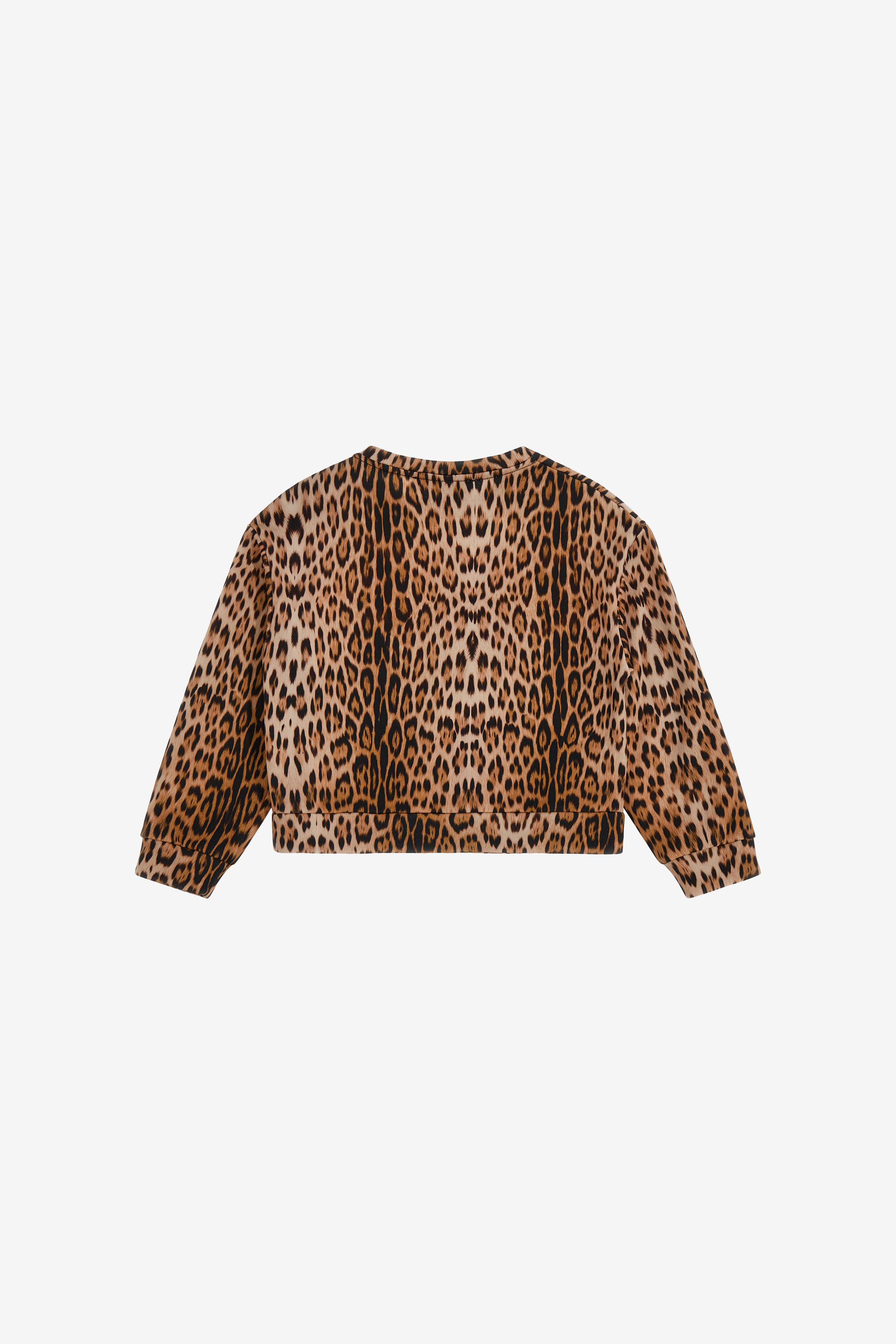 Roberto Cavalli Printed Sweatshirt In Light Brown